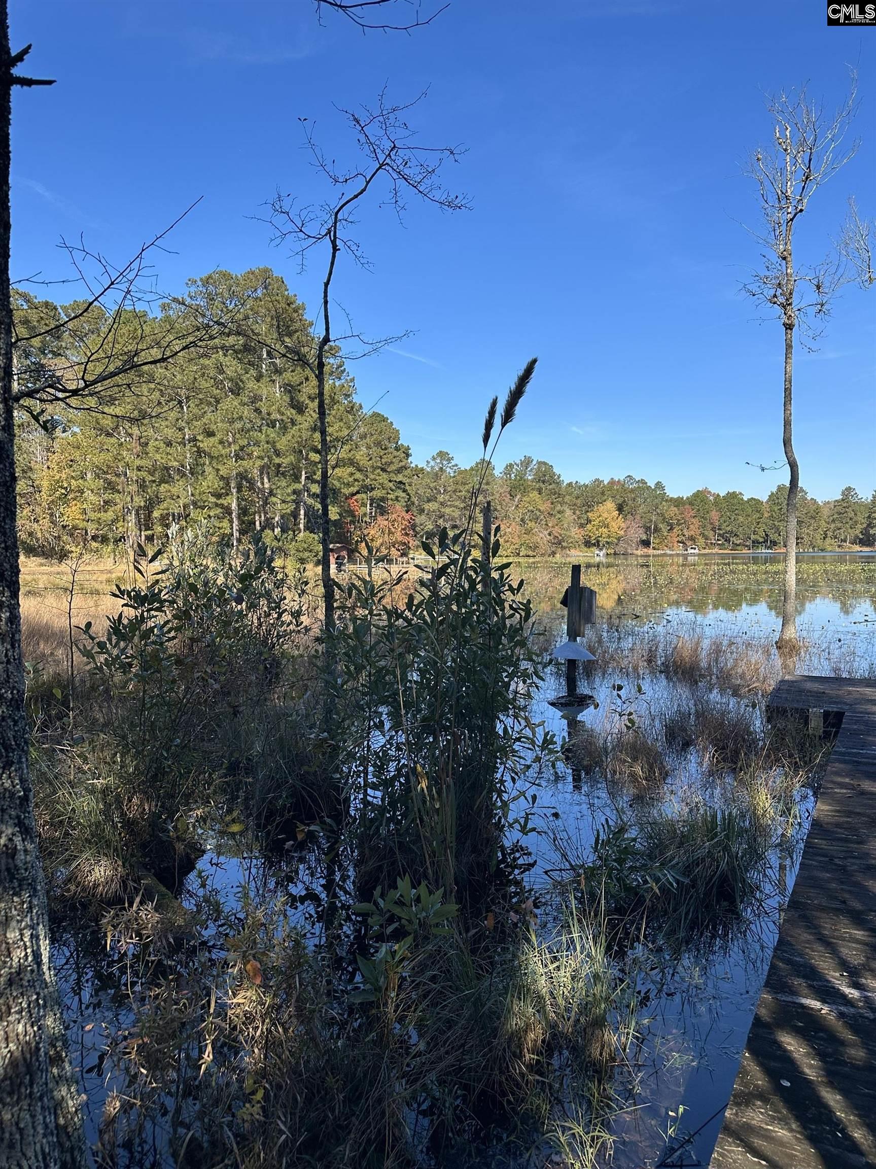 Lot 39 Edisto Lake Road UNIT #39 Wagener, SC 29164