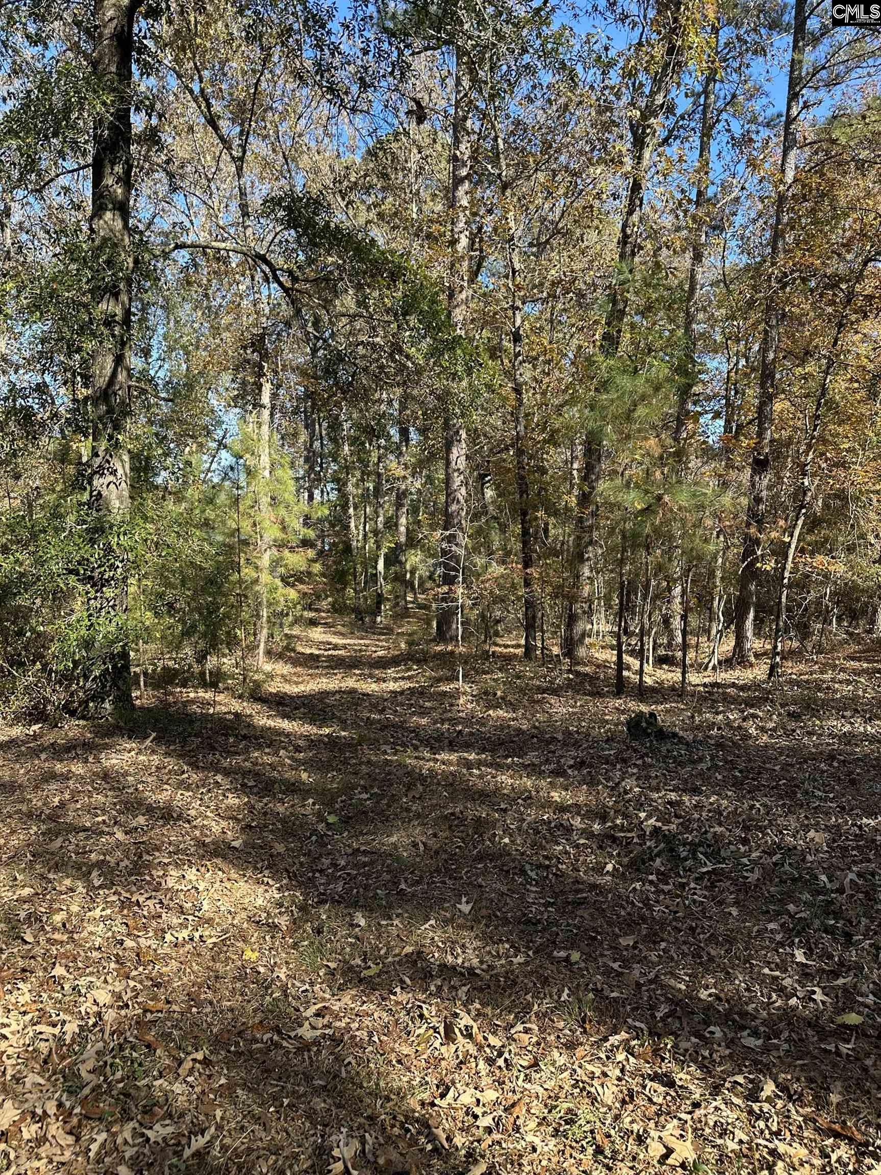 Lot 39 Edisto Lake Road UNIT #39 Wagener, SC 29164