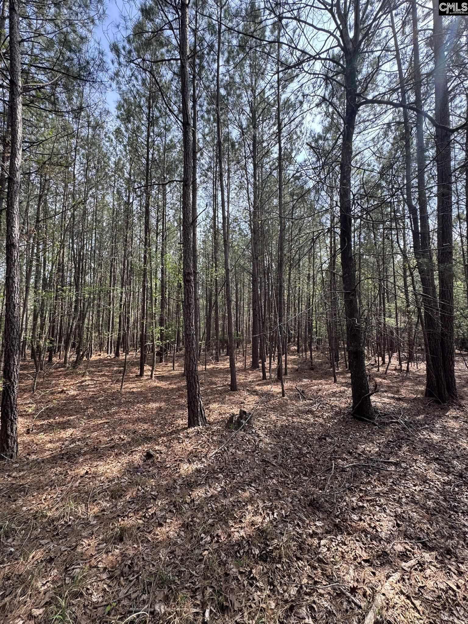 359 Holly Point Road Prosperity, SC 29127