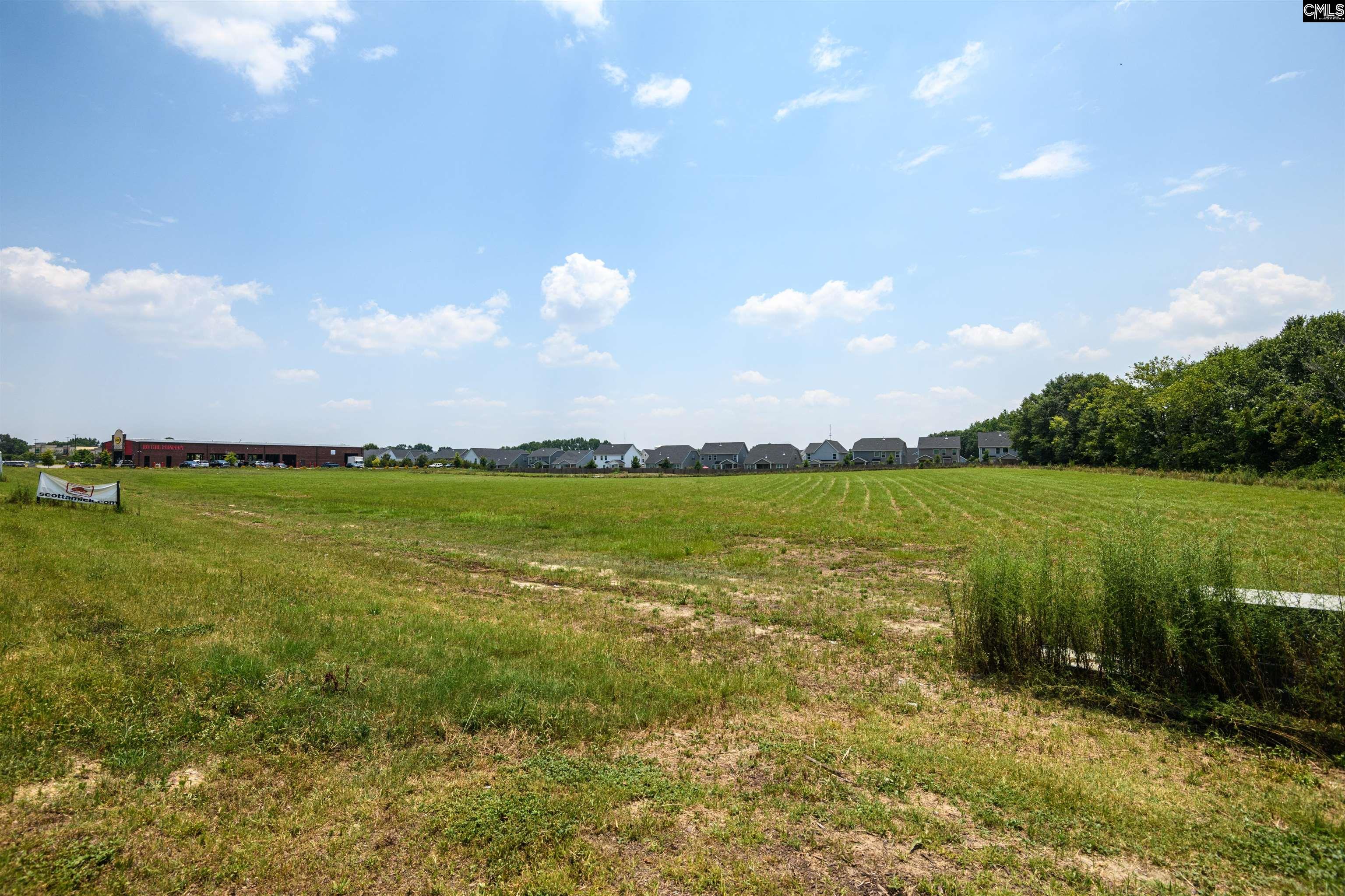 206 Bo Tire Way Lexington, SC 29072