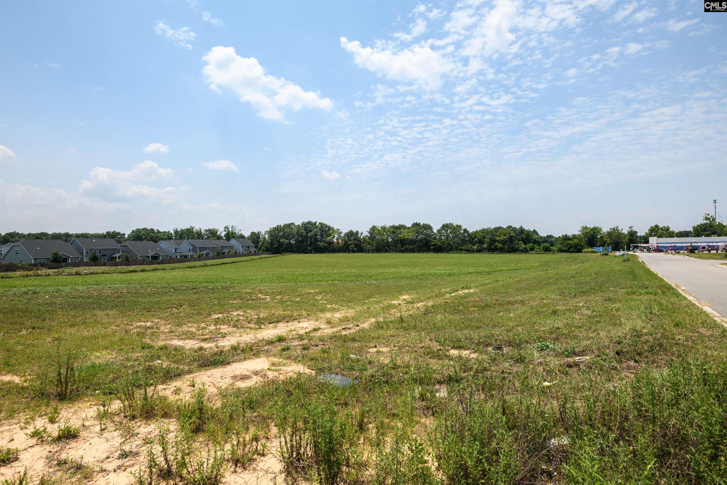 206 Bo Tire Way Lexington, SC 29072