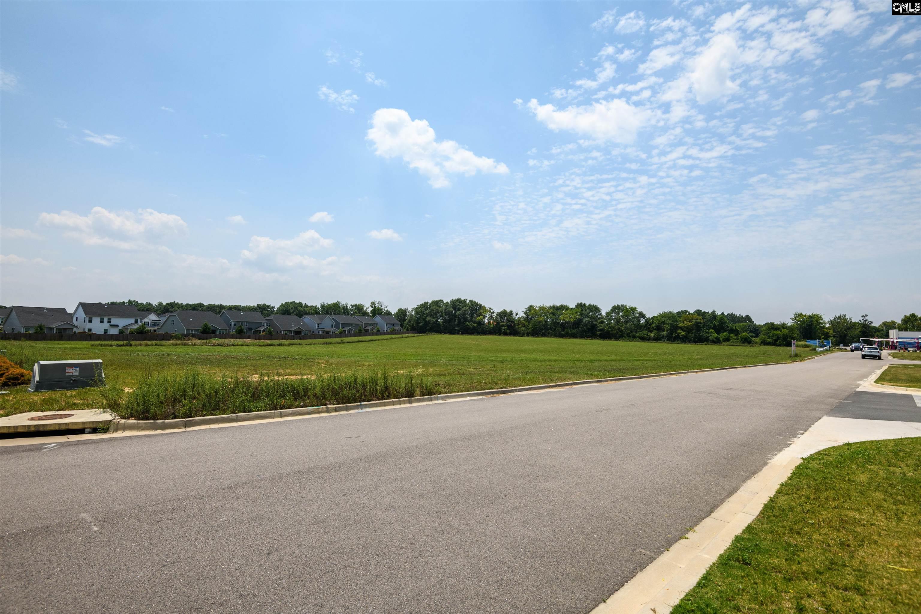206 Bo Tire Way Lexington, SC 29072
