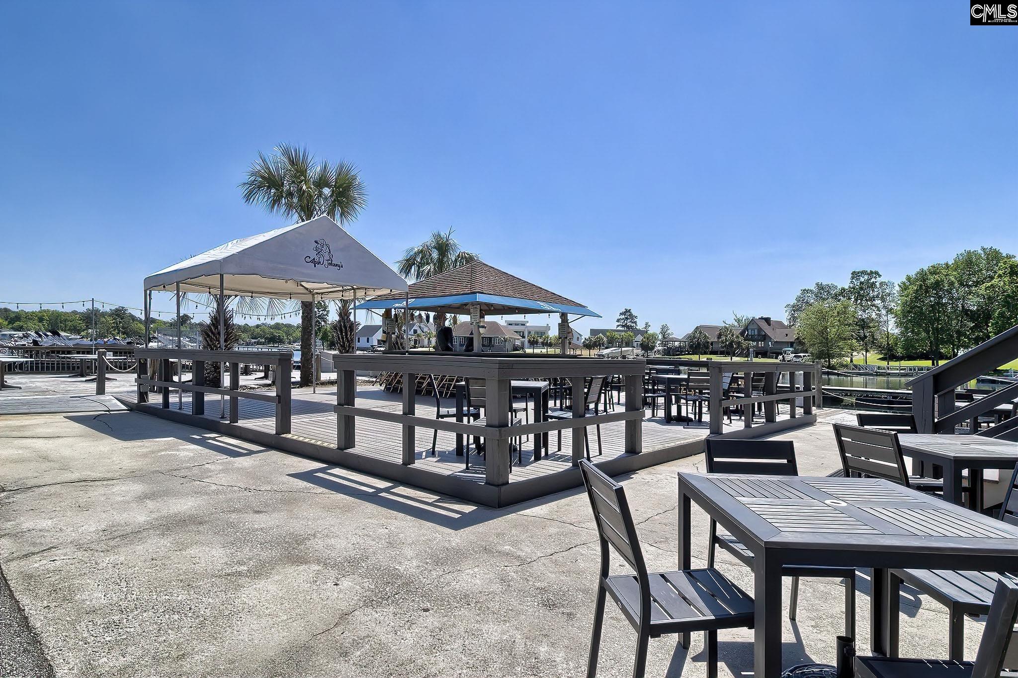 350 Chapin Place Way Chapin, SC 29036