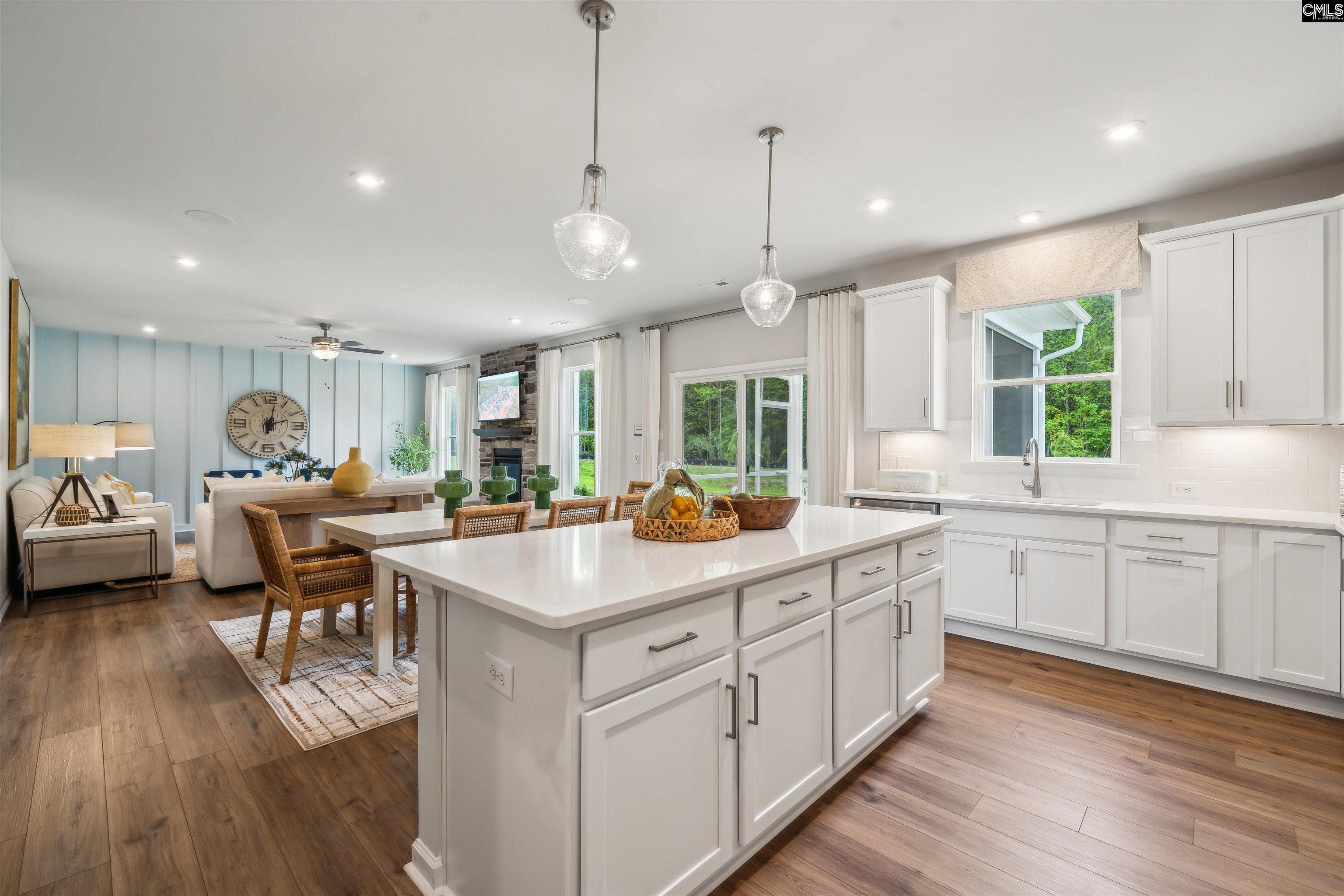 350 Chapin Place Way Chapin, SC 29036