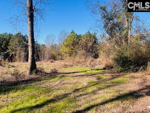 J Farm Trail UNIT #3 Leesville, SC 29070