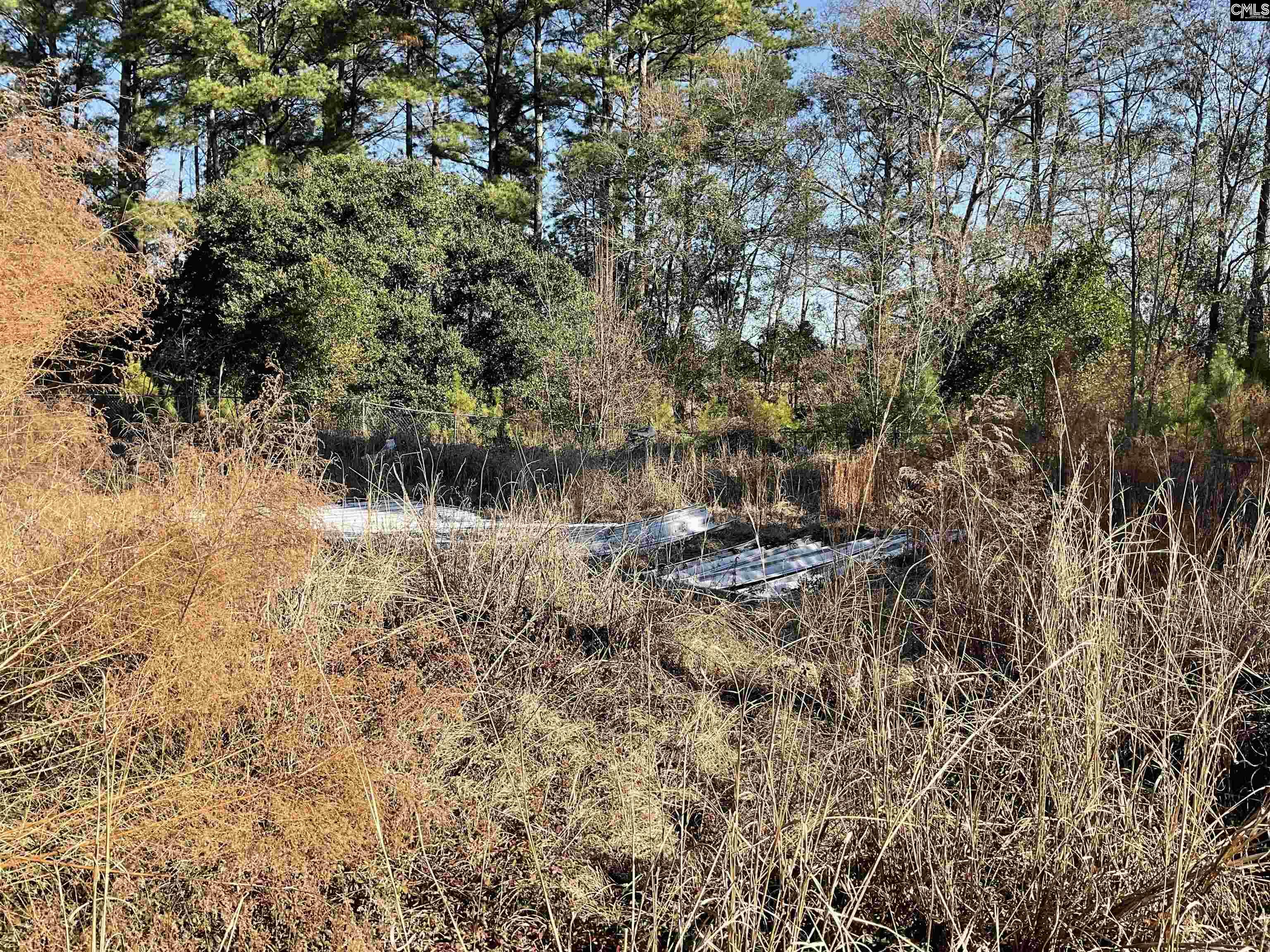14763 Carolina Highway Olar, SC 29843