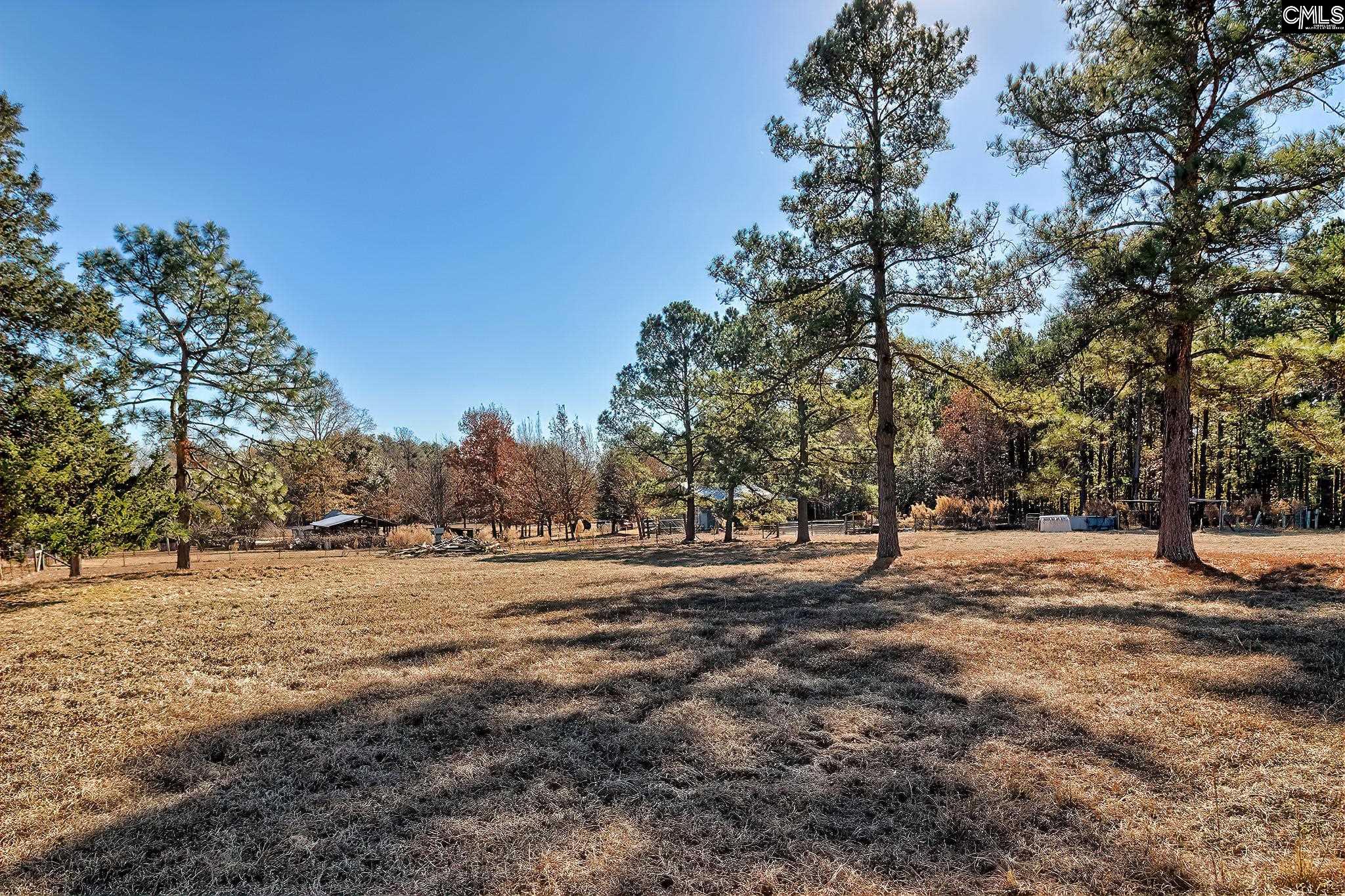 124 Shannon Drive Swansea, SC 29160