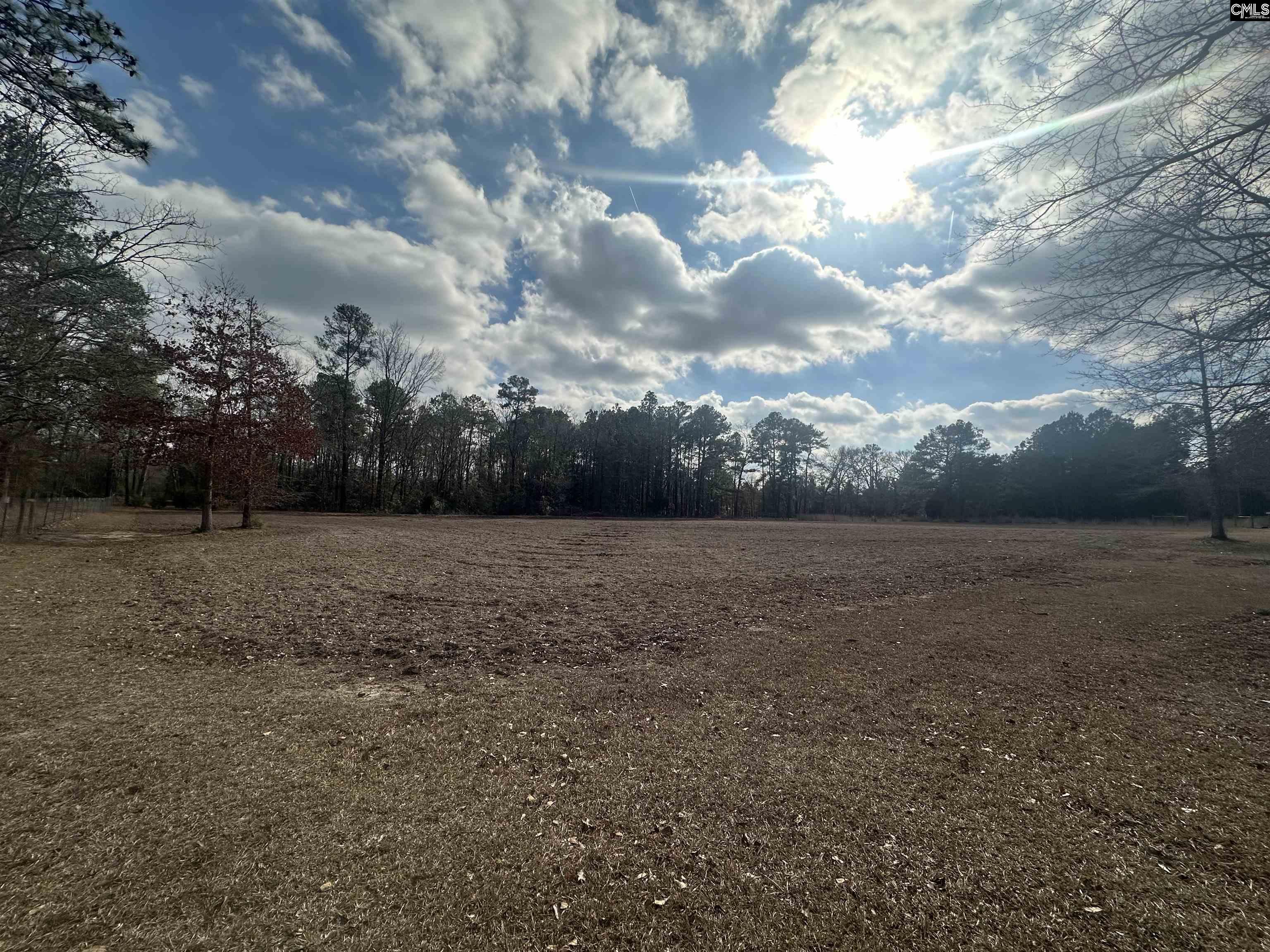 124 Shannon Drive Swansea, SC 29160