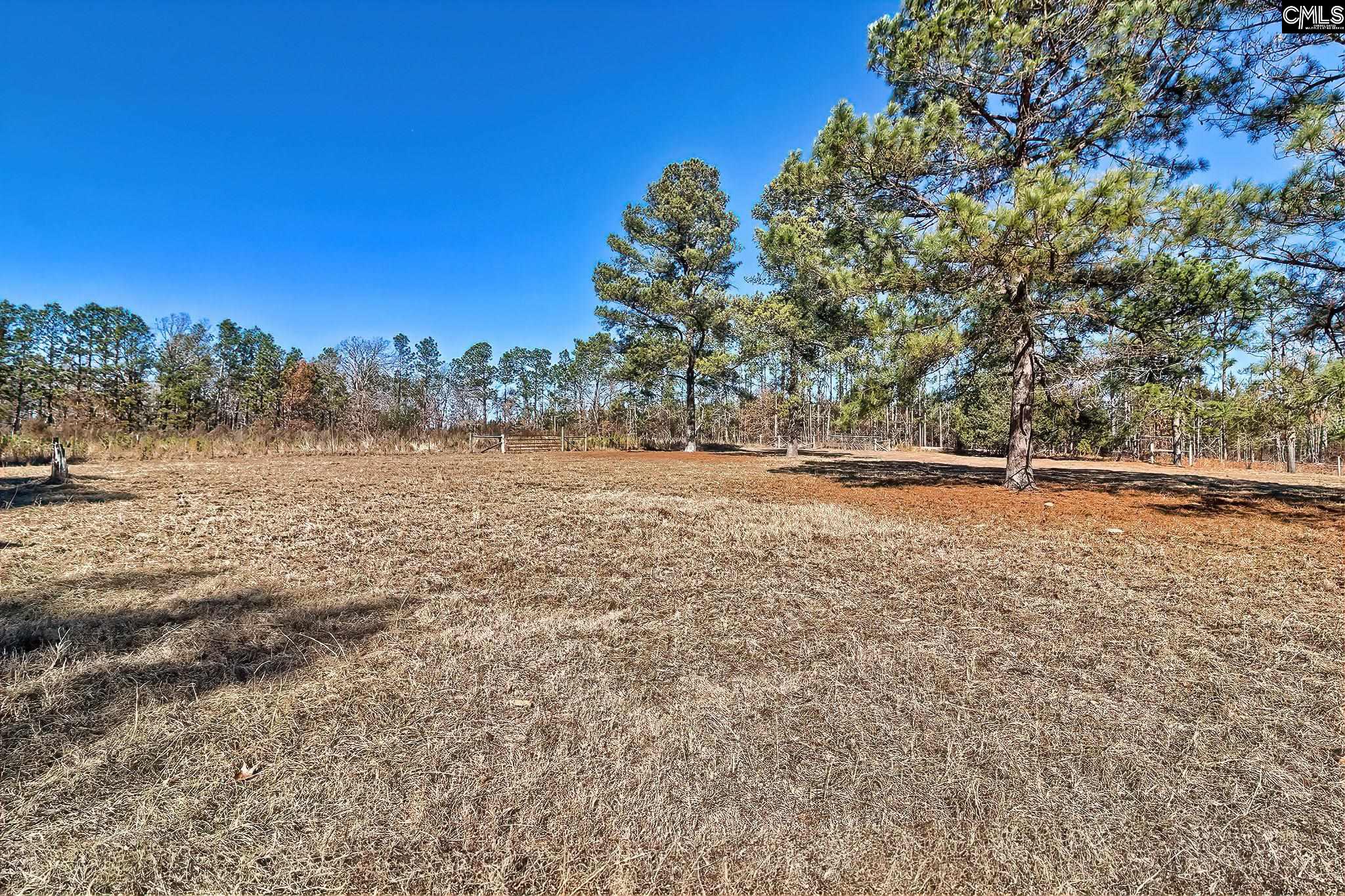 124 Shannon Drive Swansea, SC 29160