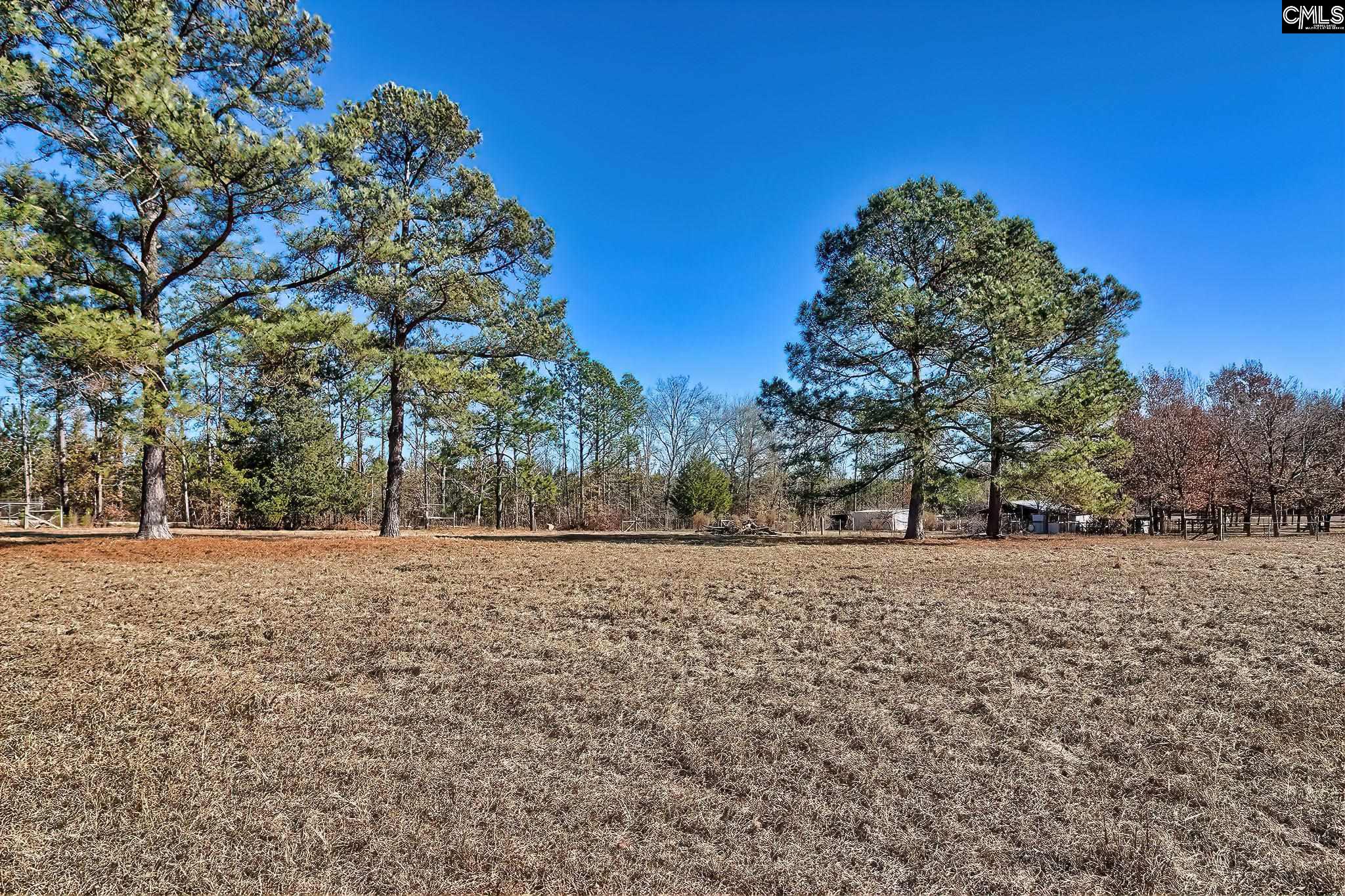 124 Shannon Drive Swansea, SC 29160