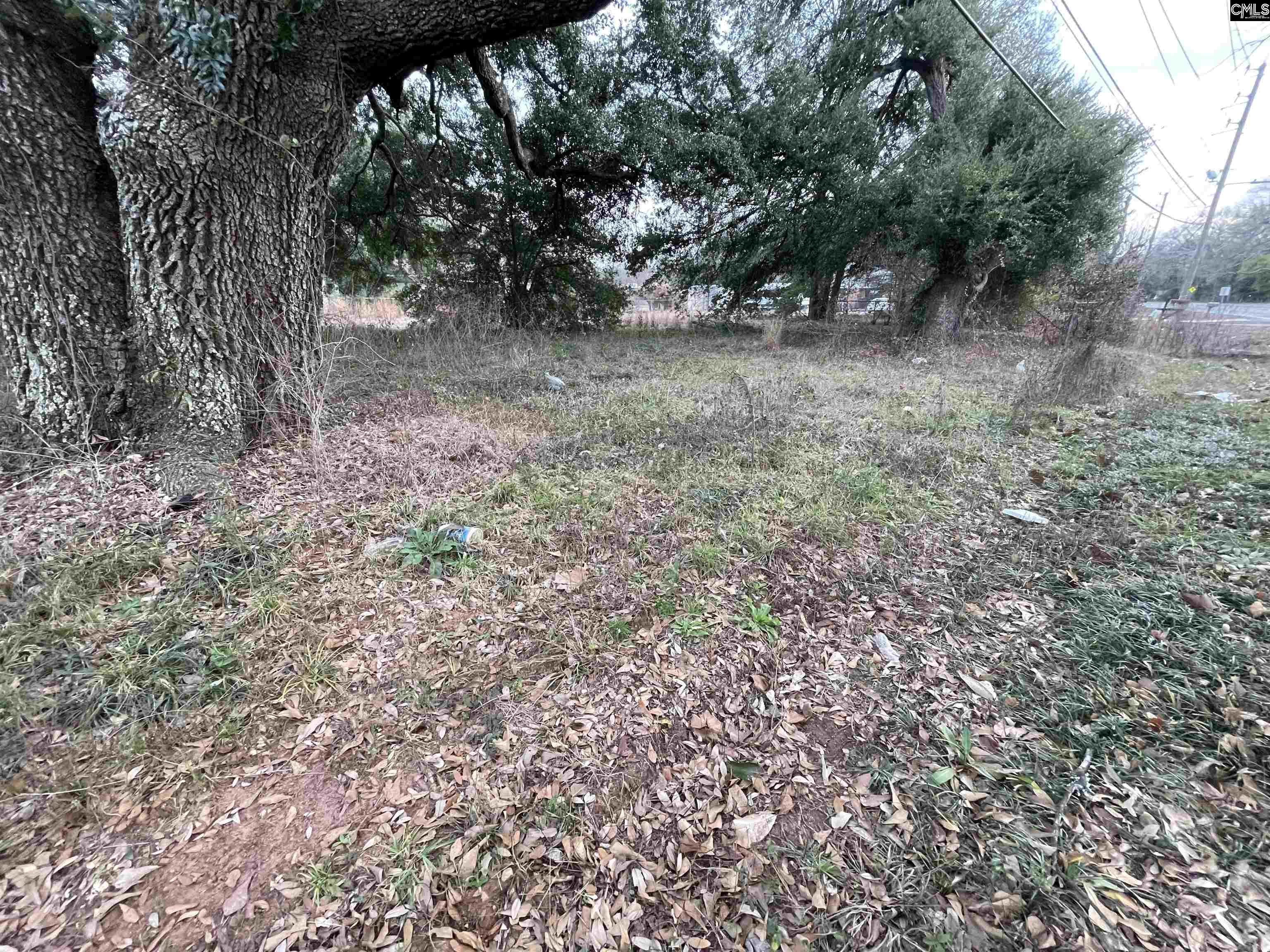 756 Laurens Street UNIT 93 & 95 Aiken, SC 29801