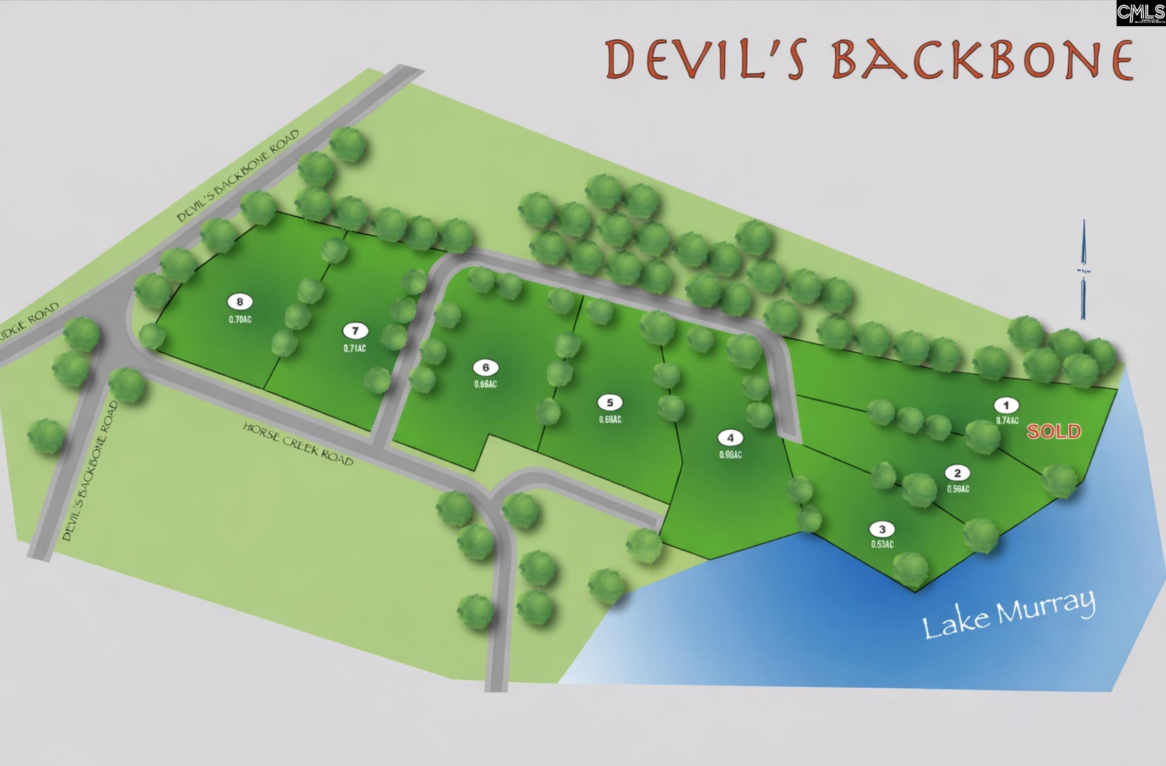 TBD Devils Backbone Road