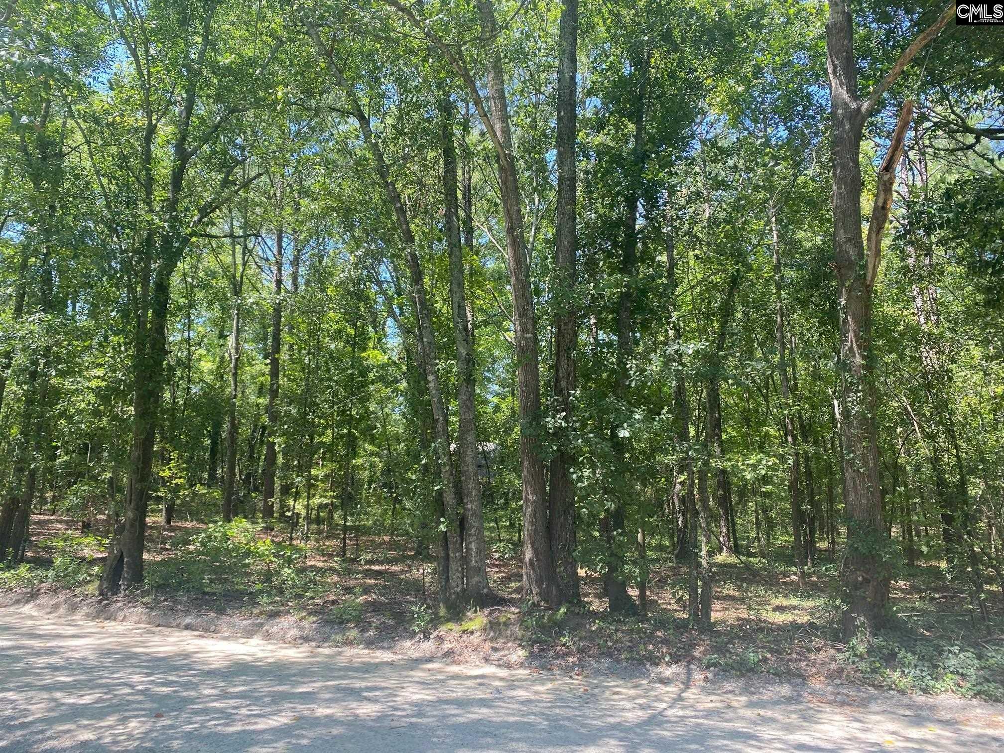 Mathias Road West Columbia, SC 29169