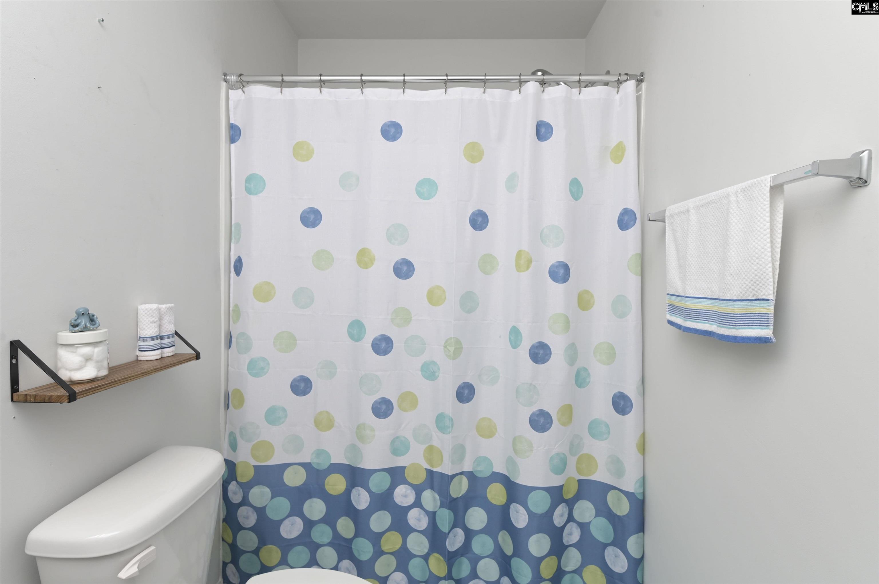 932 Trident Maple Lane Chapin, SC 29036