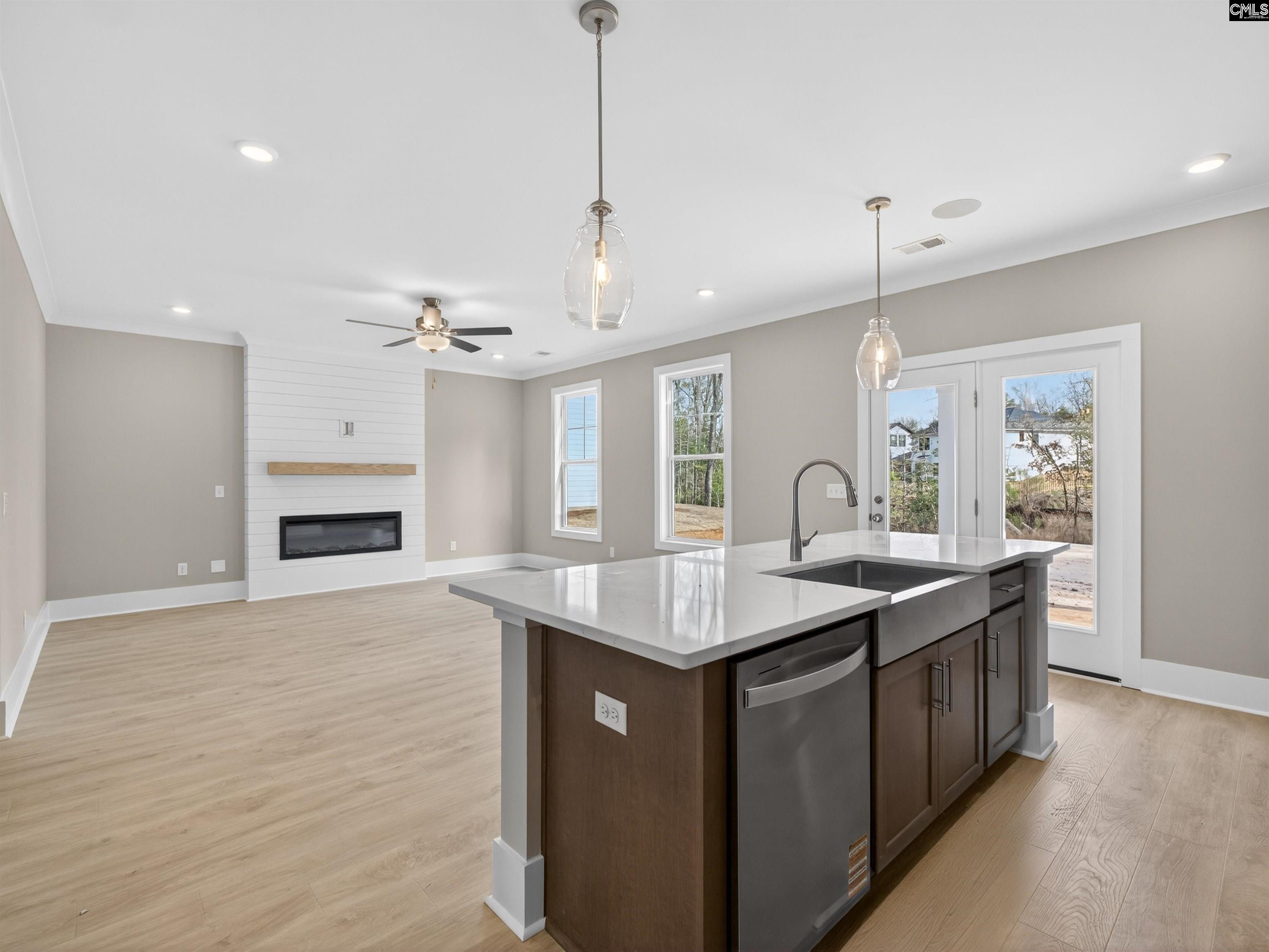 28 Elk Run Court Chapin, SC 29036