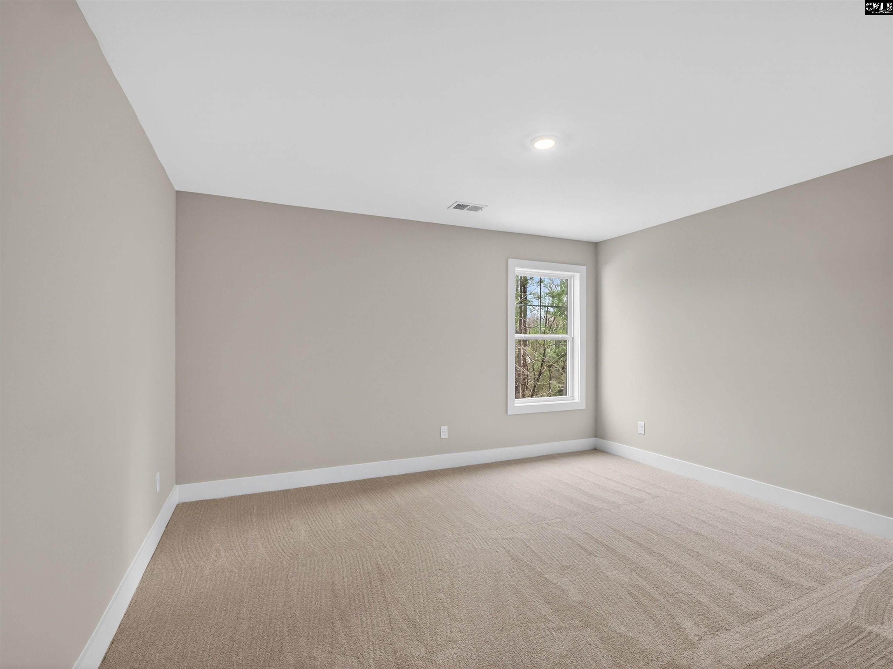 28 Elk Run Court Chapin, SC 29036