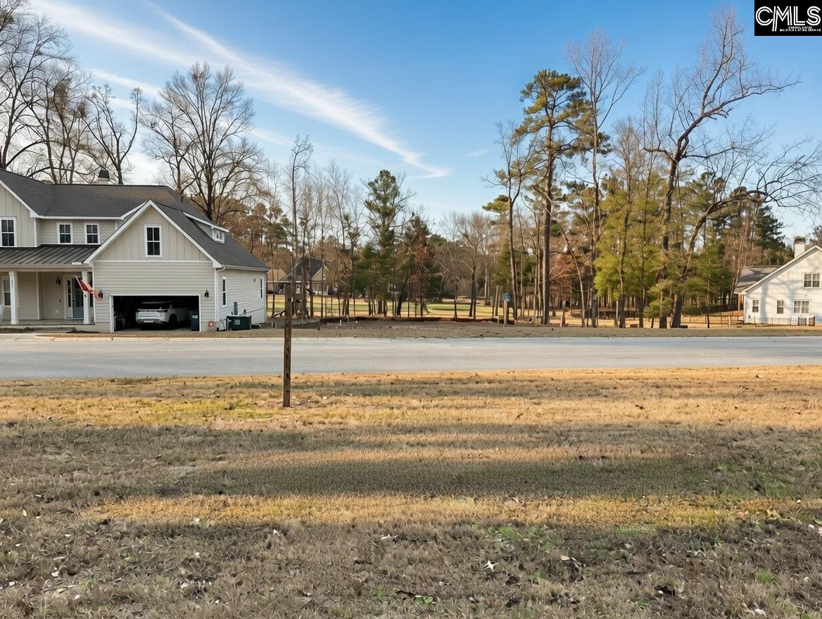 546 Misty Banks Drive UNIT #87 Chapin, SC 29036