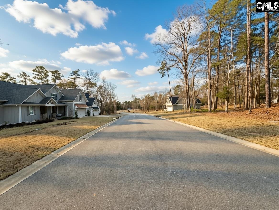 546 Misty Banks Drive UNIT #87 Chapin, SC 29036