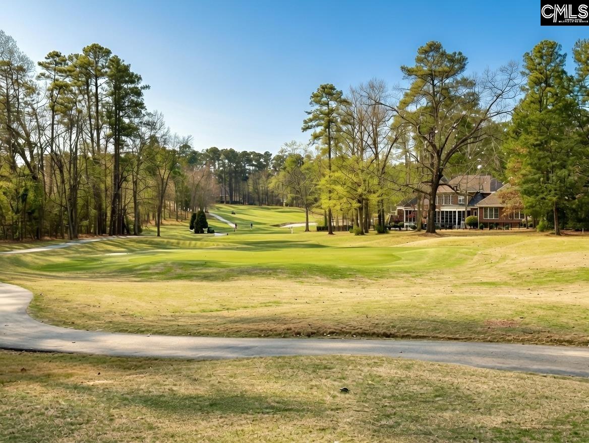546 Misty Banks Drive UNIT #87 Chapin, SC 29036