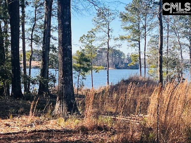 Break Water Drive UNIT #308 Prosperity, SC 29127-0000