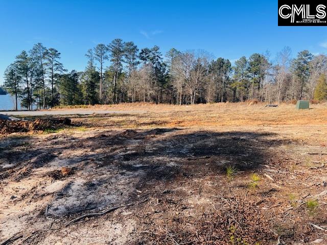 Break Water Drive UNIT #308 Prosperity, SC 29127-0000