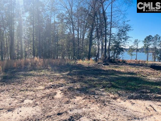 Break Water Drive UNIT #308 Prosperity, SC 29127-0000
