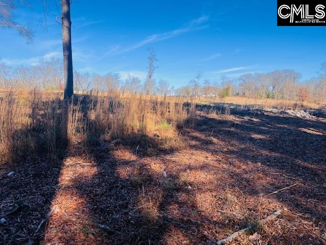 Break Water Drive UNIT #308 Prosperity, SC 29127-0000