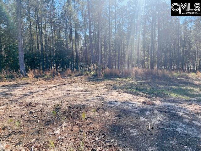 Break Water Drive UNIT #308 Prosperity, SC 29127-0000
