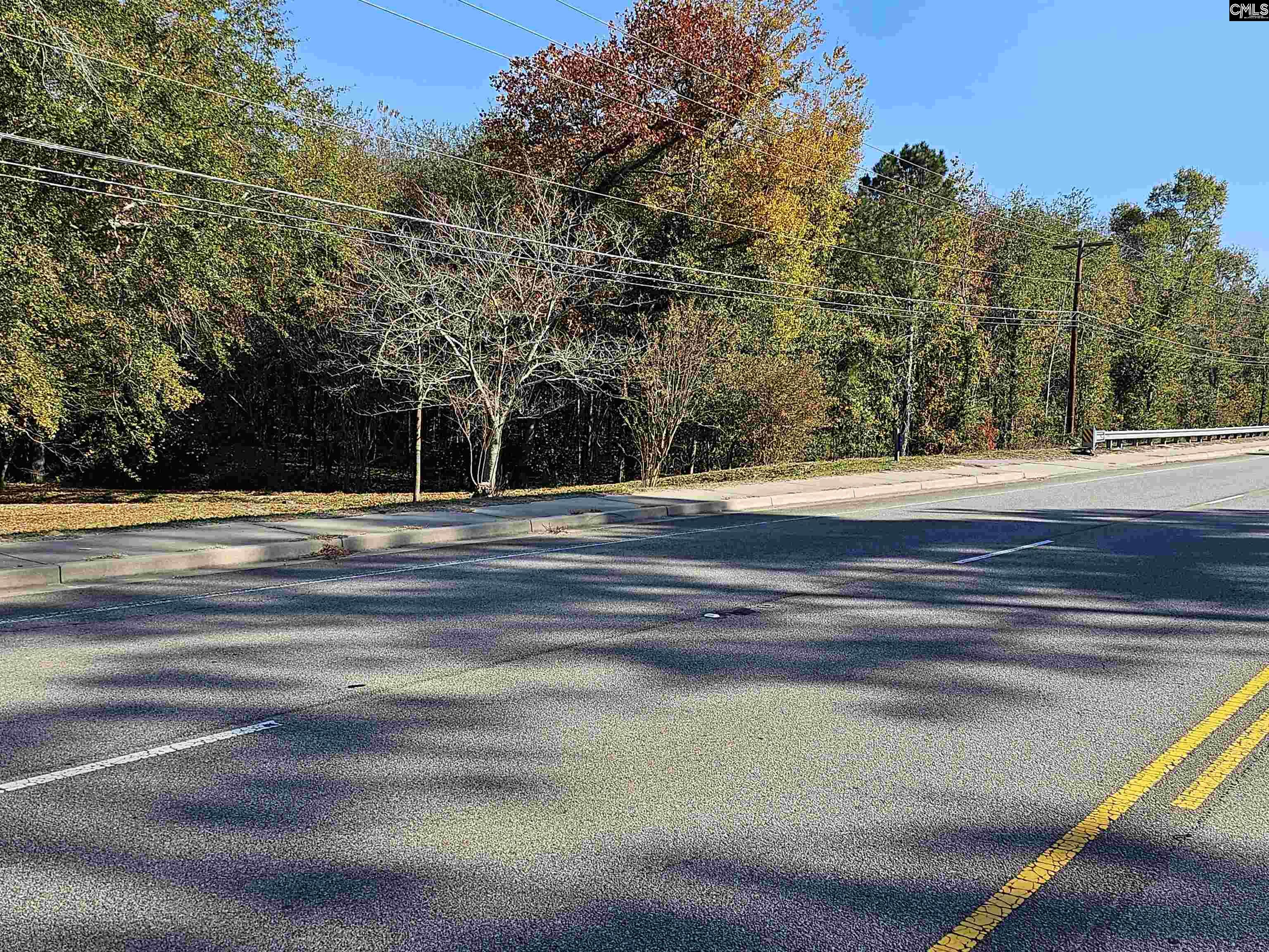 1607 South Lake Drive Lexington, SC 29073