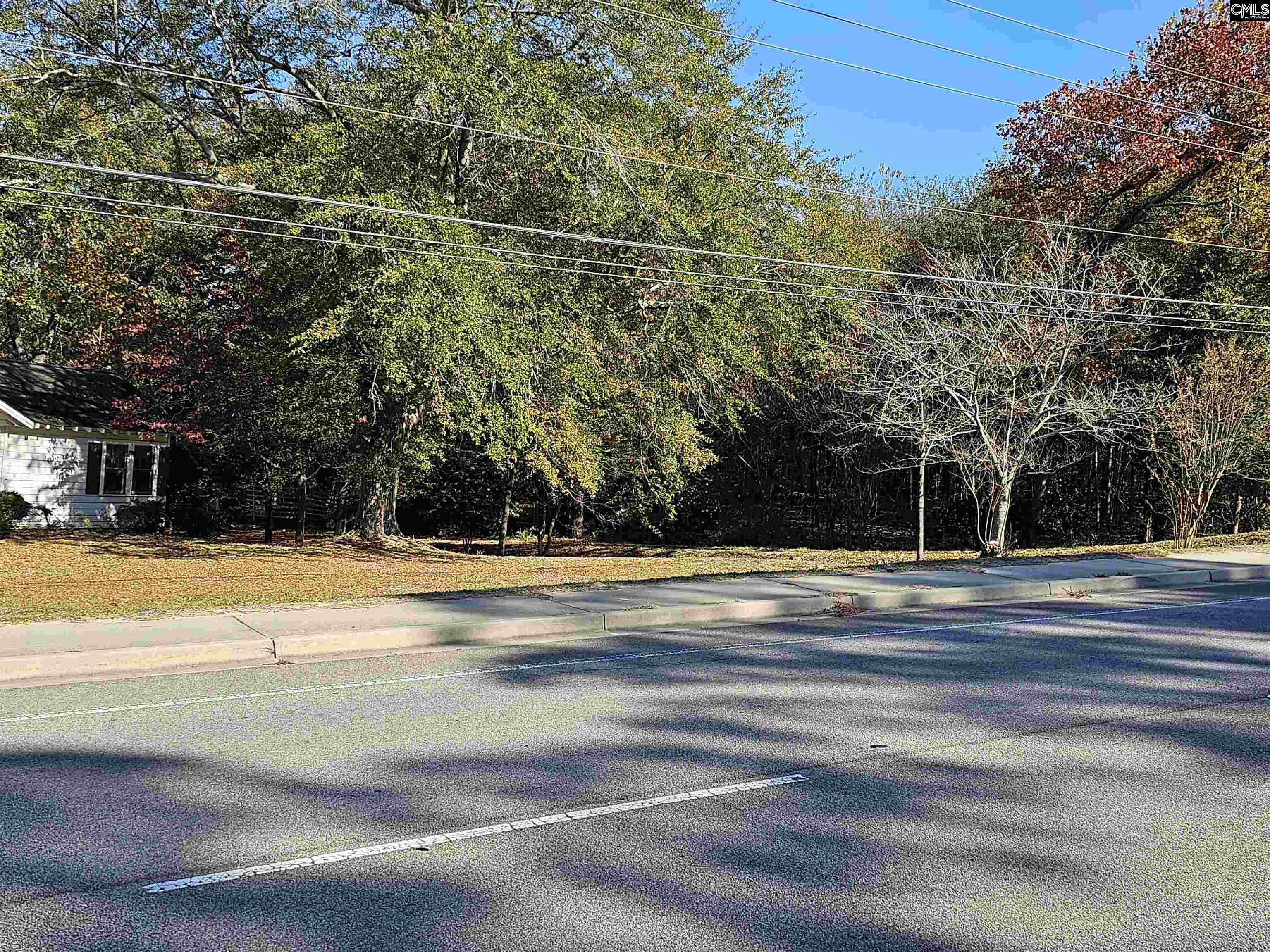 1607 South Lake Drive Lexington, SC 29073