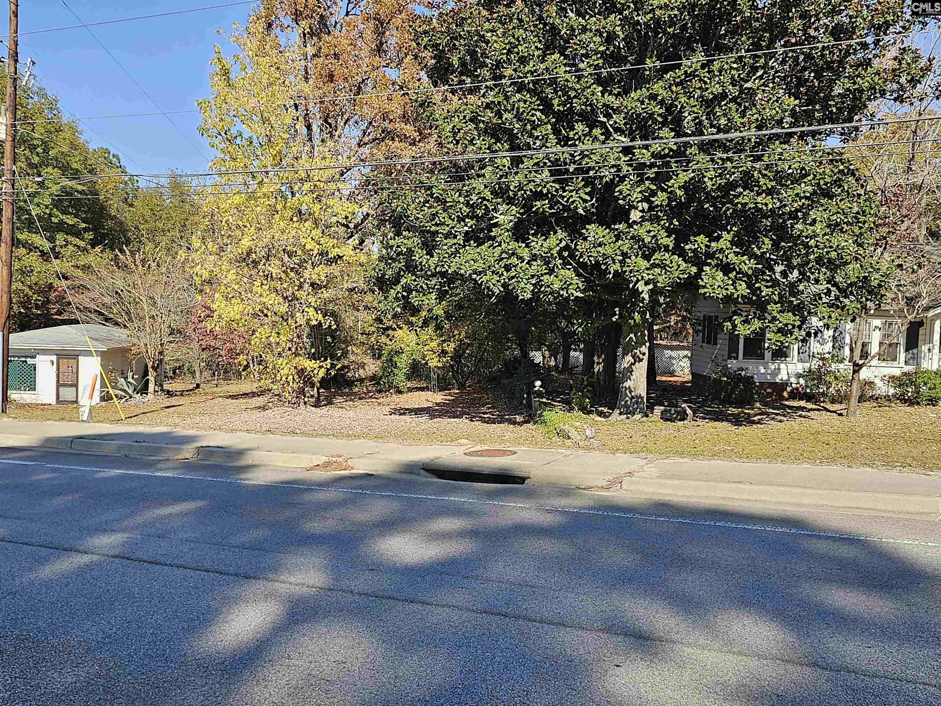 1607 South Lake Drive Lexington, SC 29073