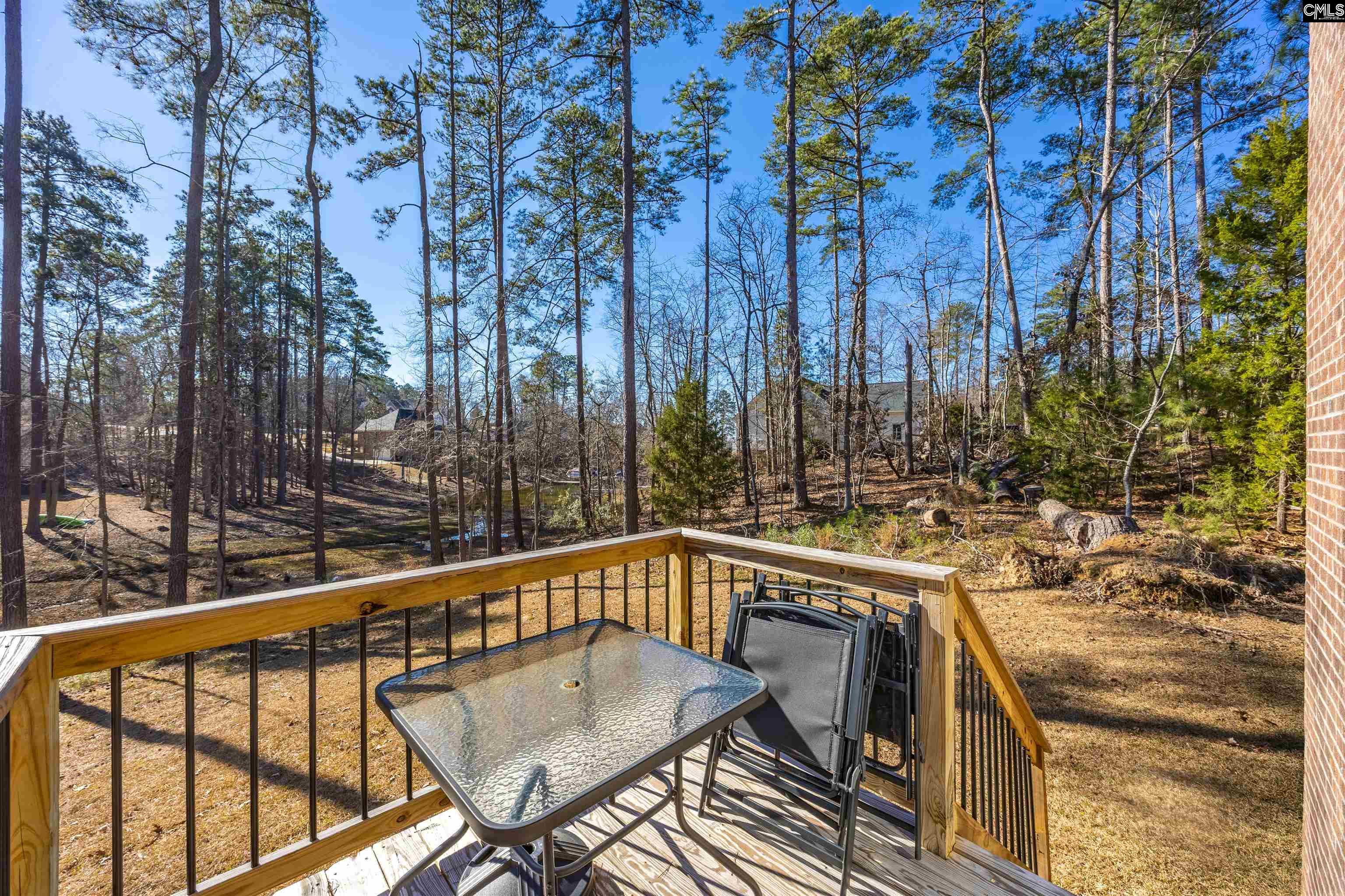 509 Links Pointe Court Chapin, SC 29036