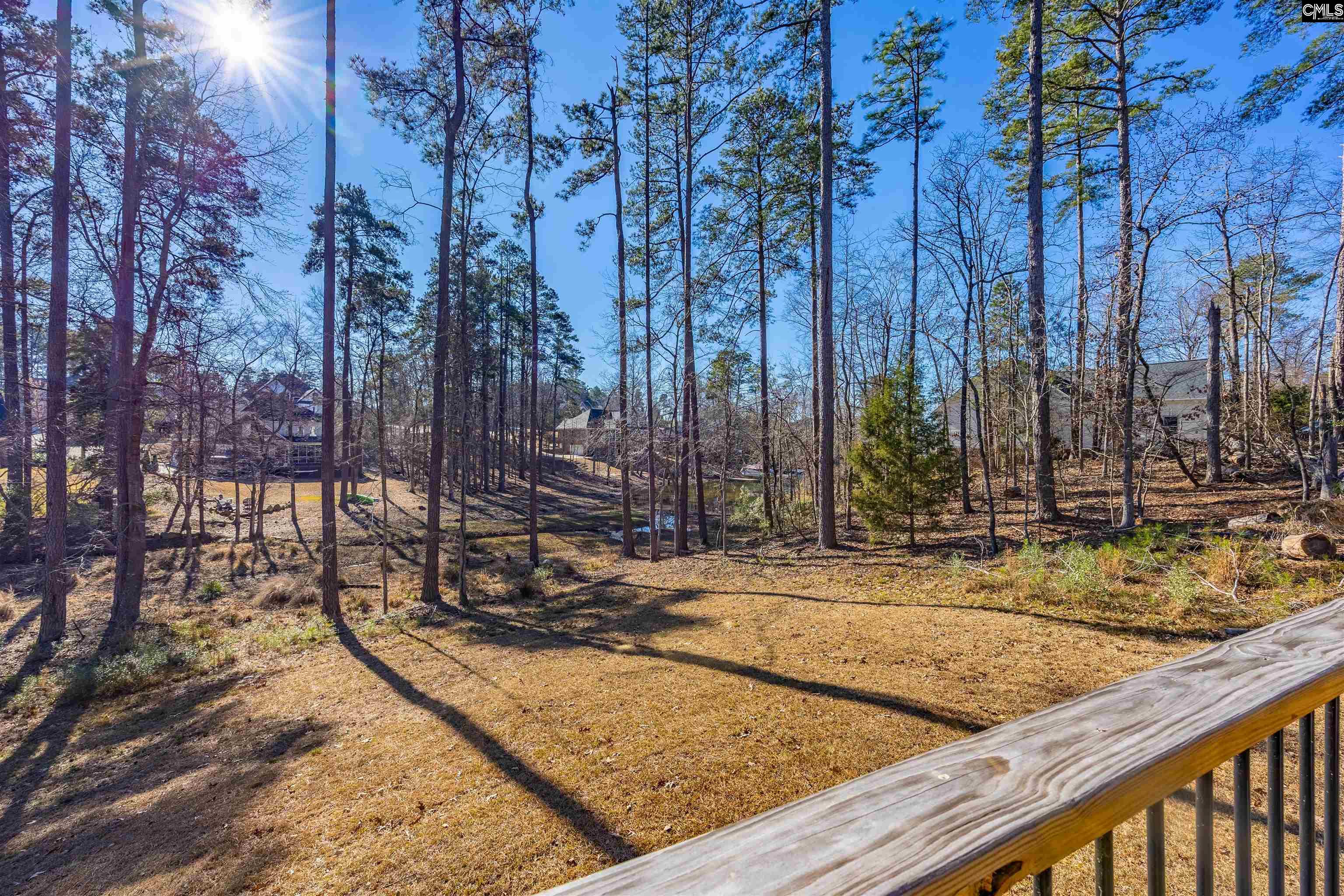 509 Links Pointe Court Chapin, SC 29036