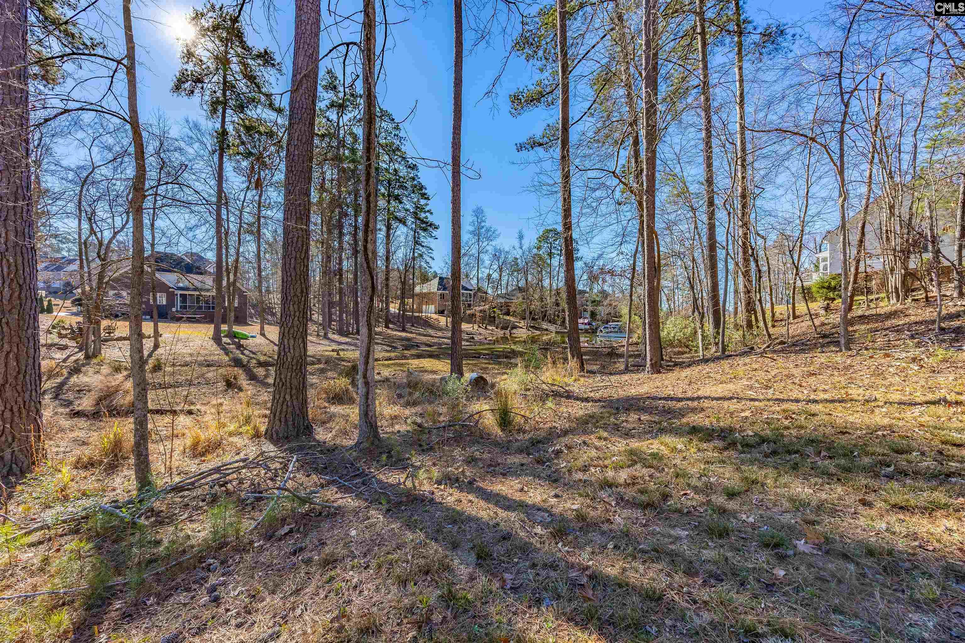 509 Links Pointe Court Chapin, SC 29036