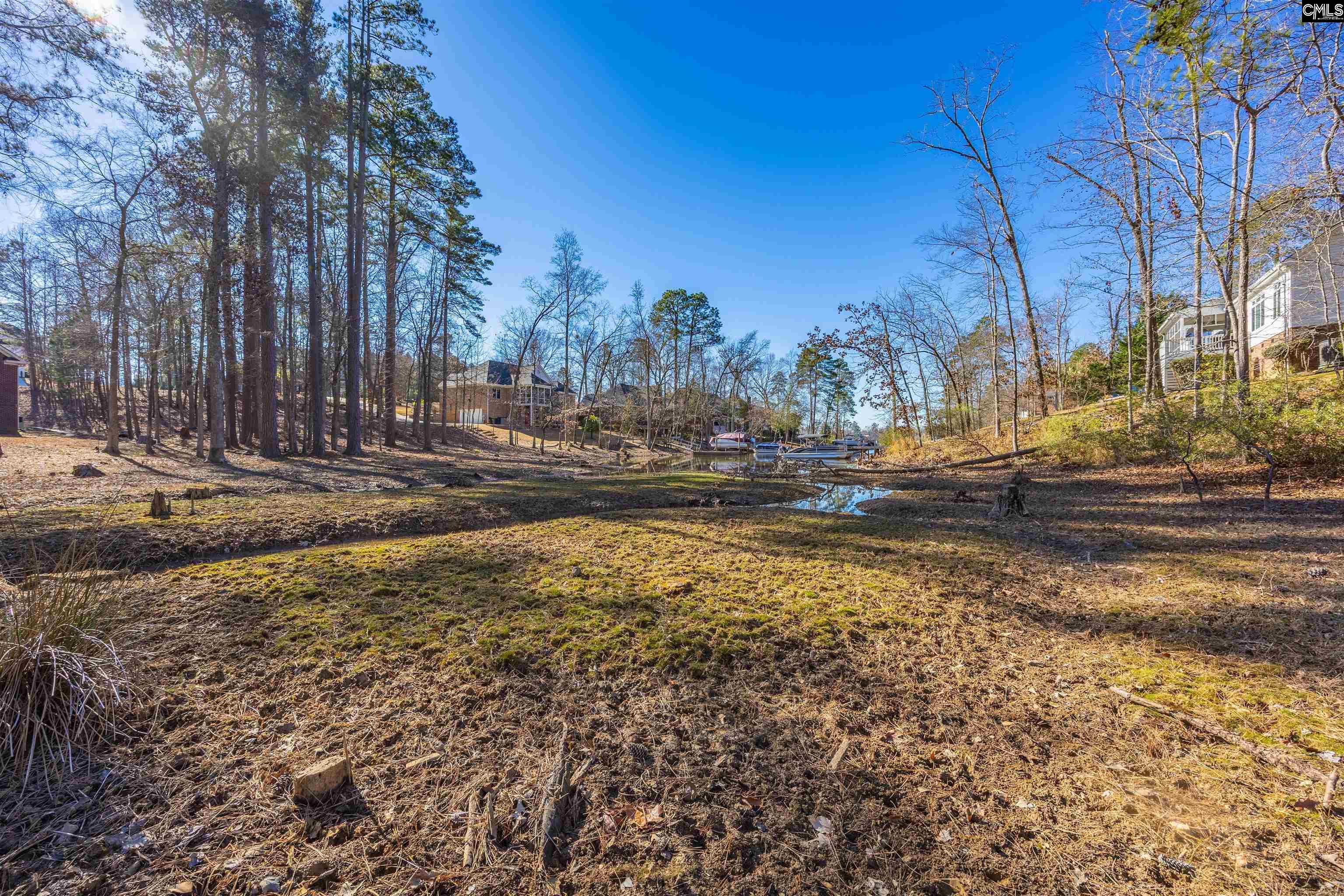 509 Links Pointe Court Chapin, SC 29036