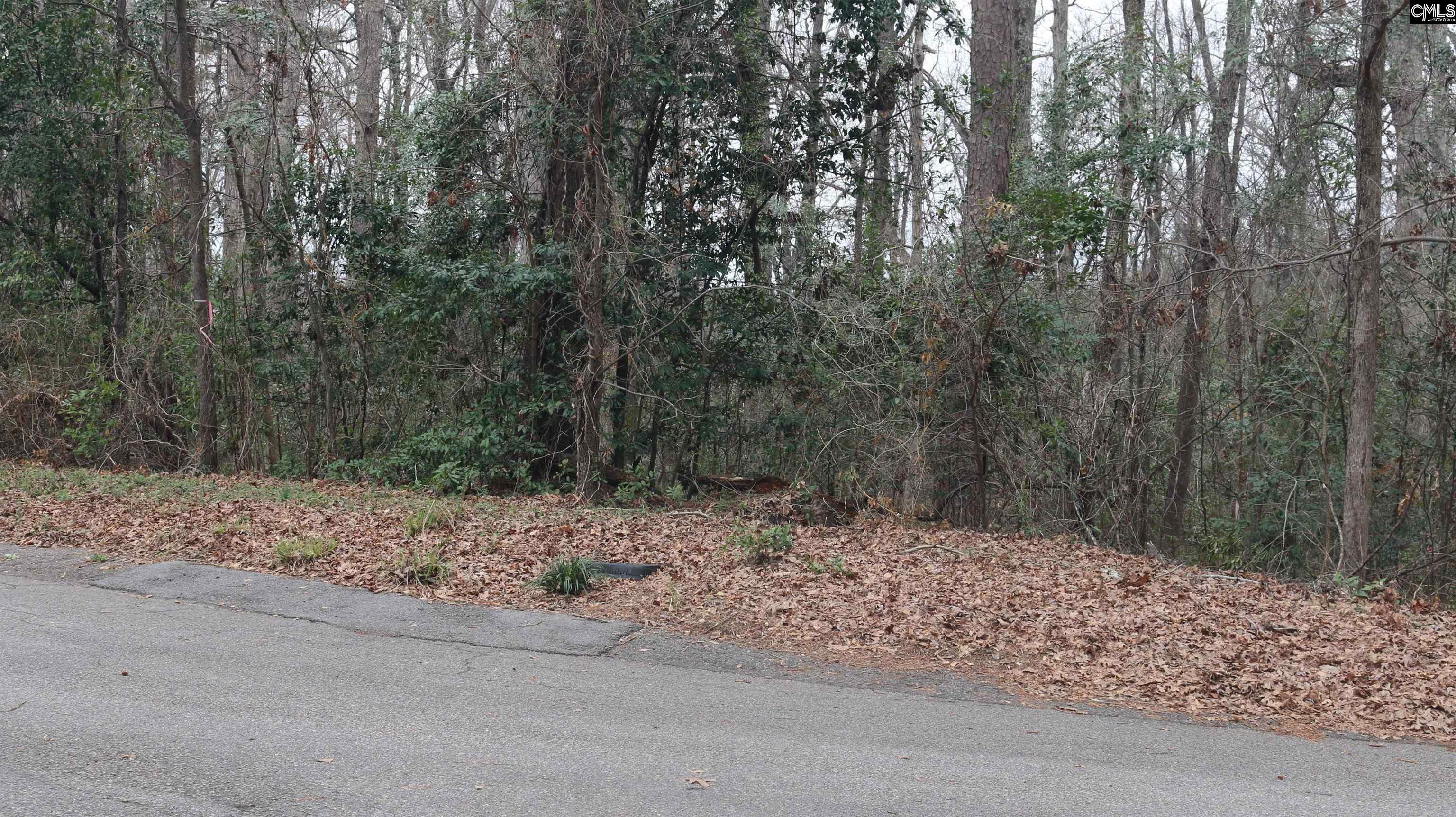 291 Big Timber Drive UNIT #16 Lexington, SC 29073