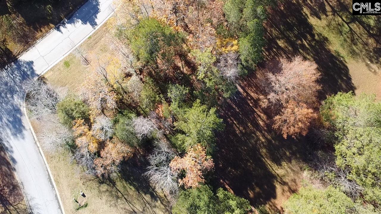 101 Summer Branch Lane Irmo, SC 29063
