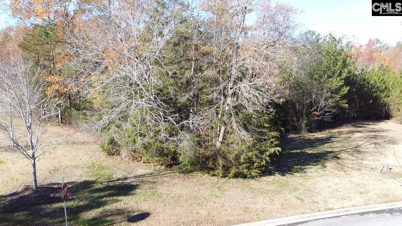 101 Summer Branch Lane Irmo, SC 29063