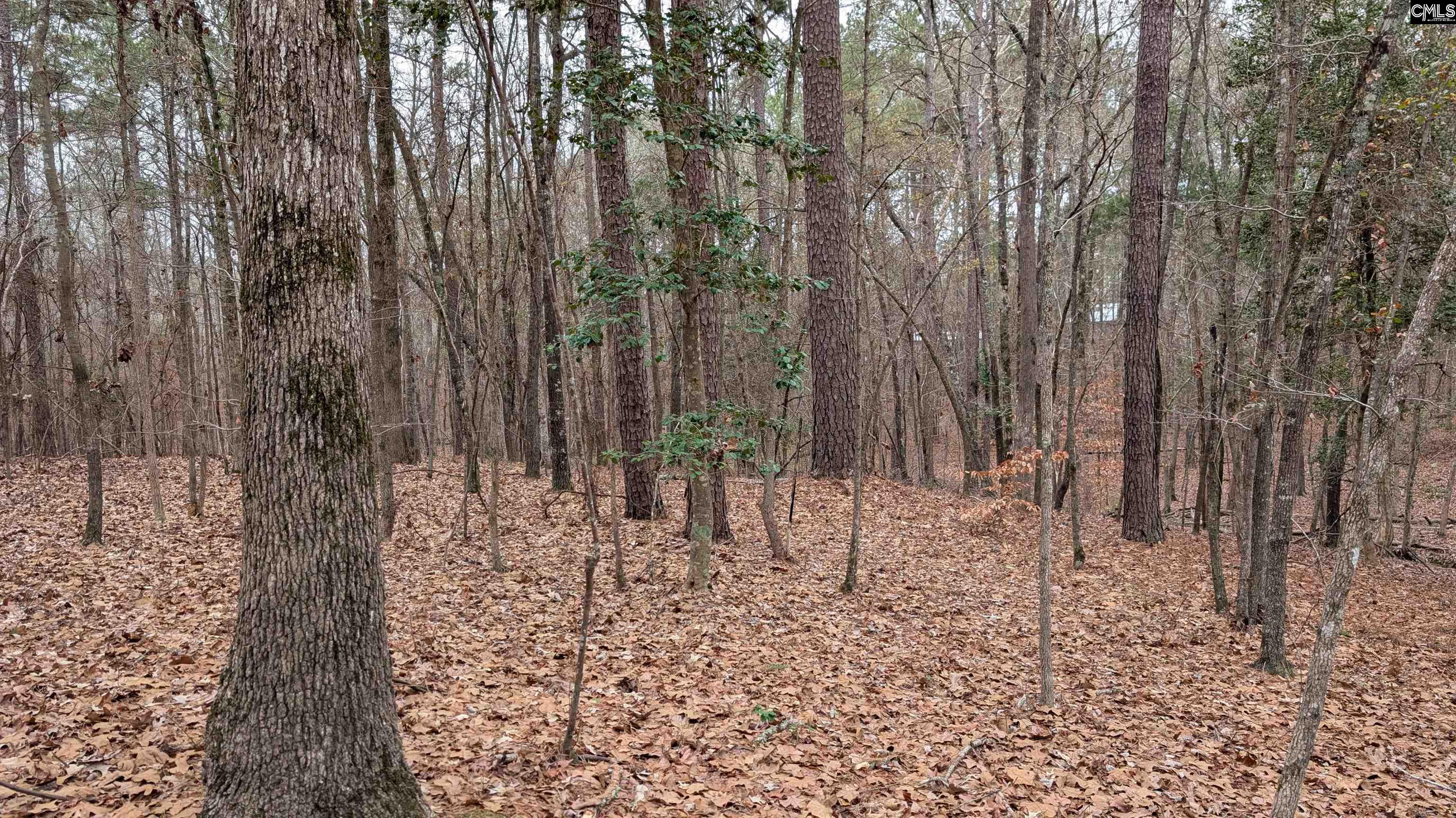 Lots B & C Miller Road UNIT B and C Camden, SC 29020-0000
