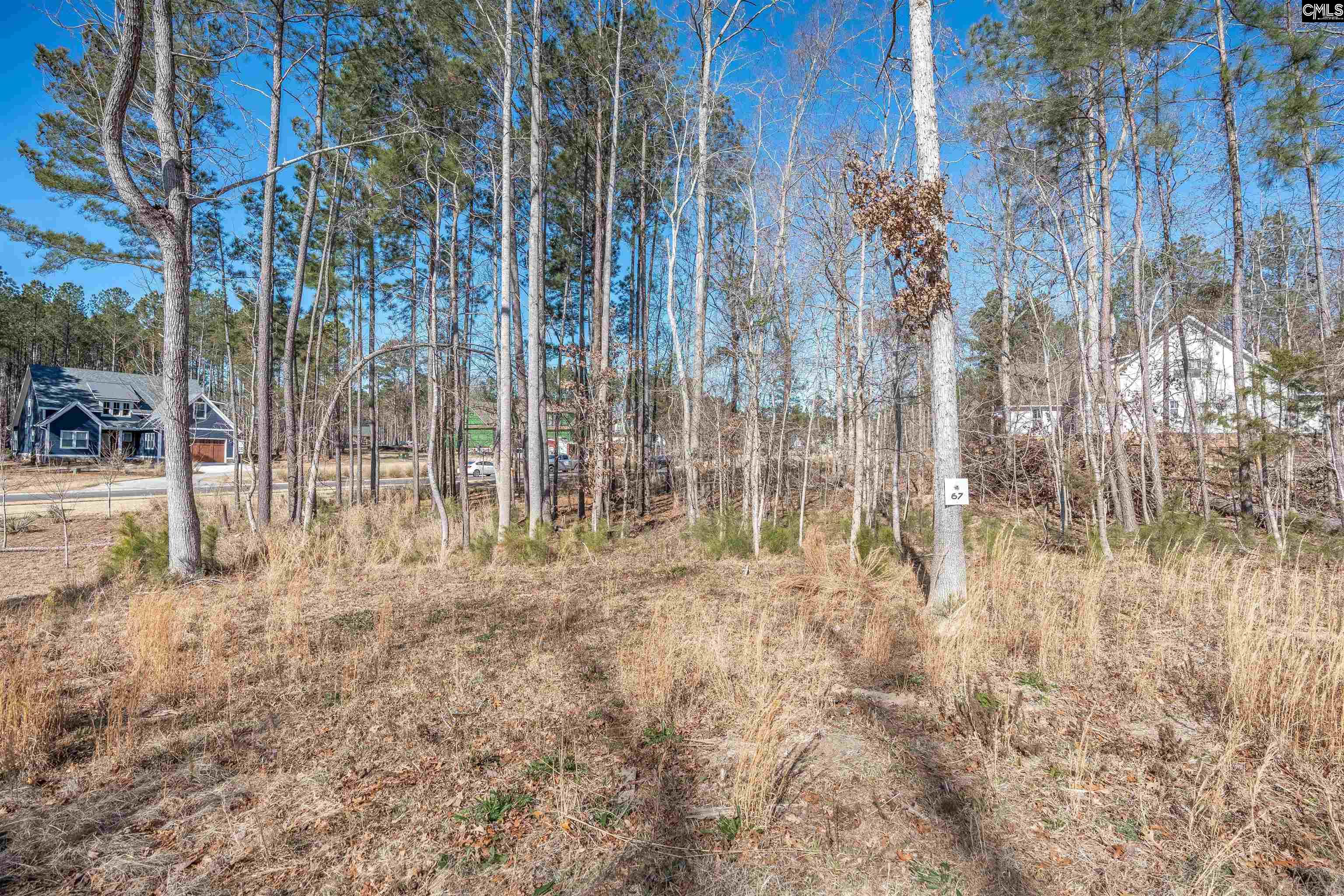 lot 67 Stewart Landing Drive UNIT #67 Prosperity, SC 29127