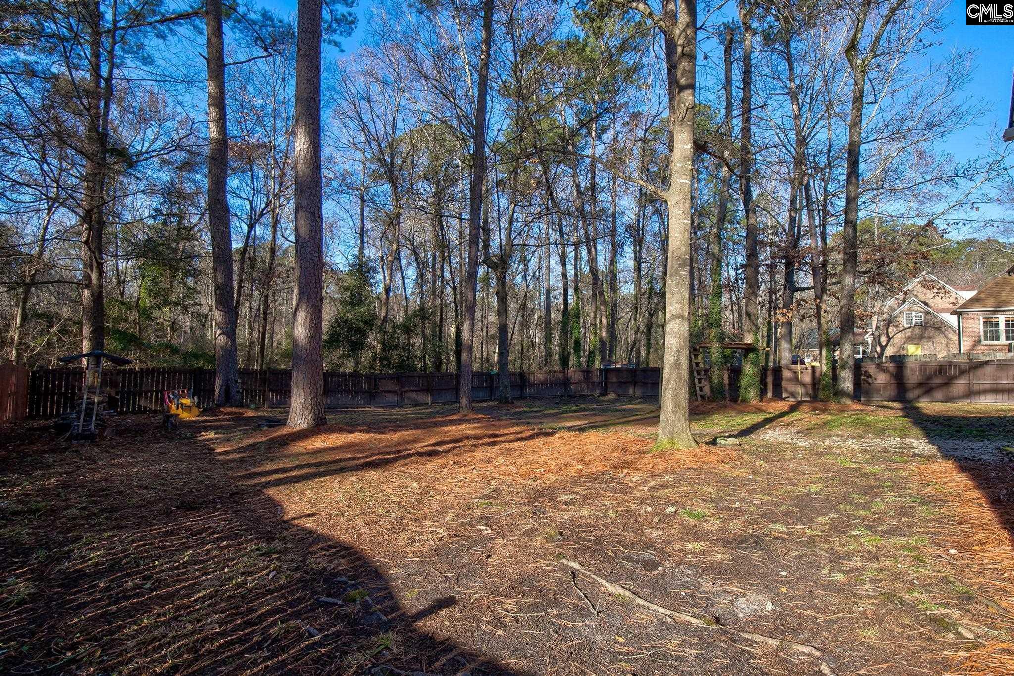 605 Timberleaf Court Columbia, SC 29212