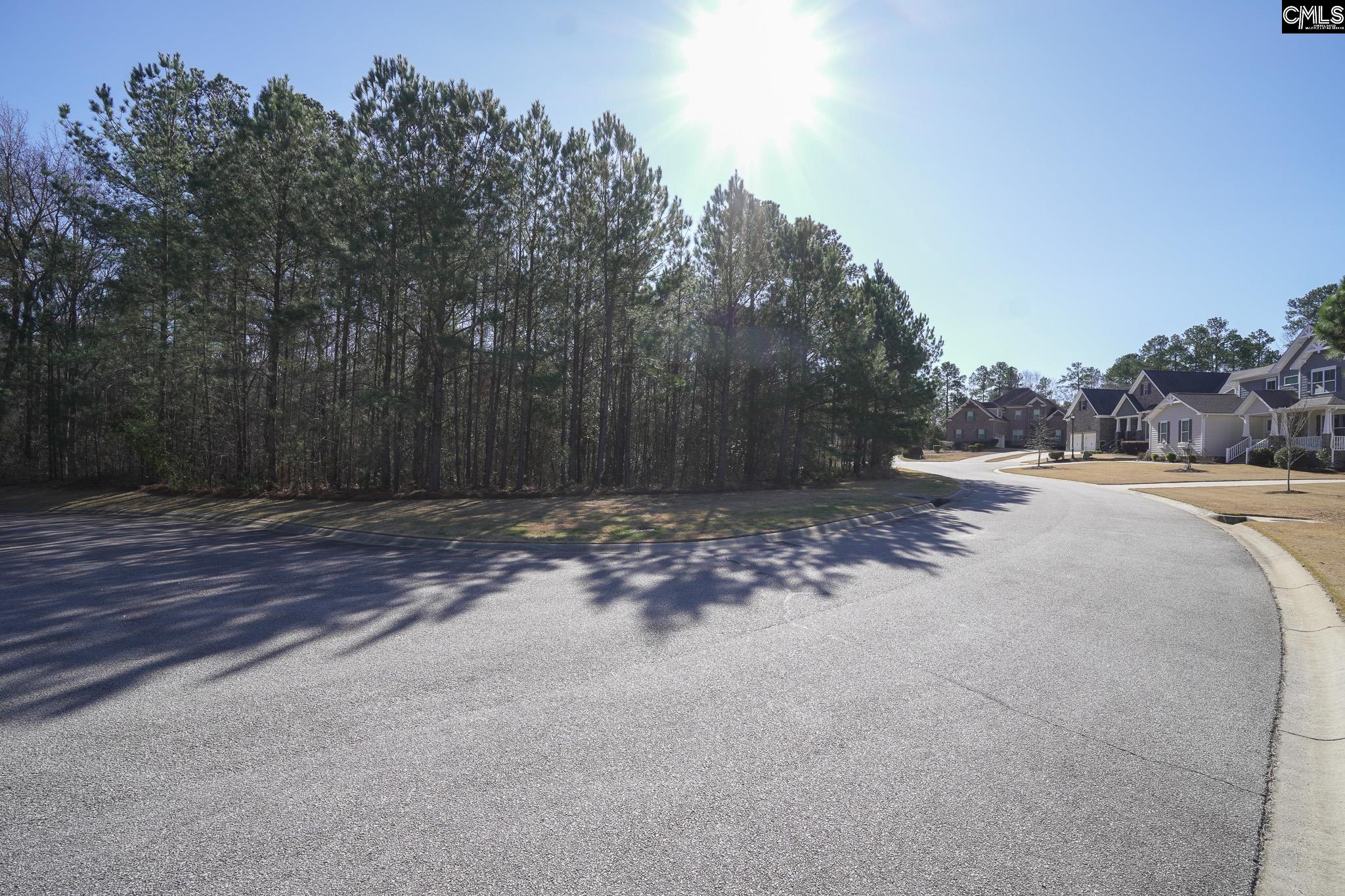 329 Brunner Circle Blythewood, SC 29016