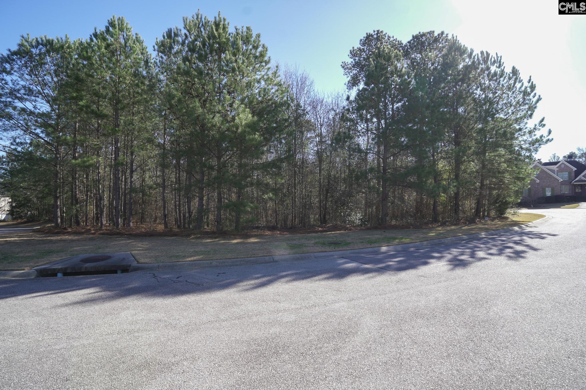 329 Brunner Circle Blythewood, SC 29016