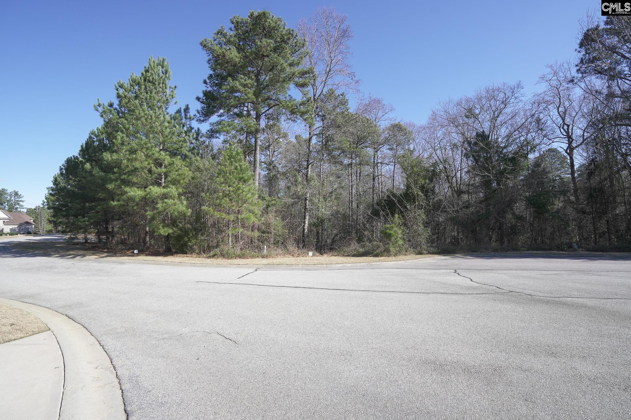 329 Brunner Circle Blythewood, SC 29016
