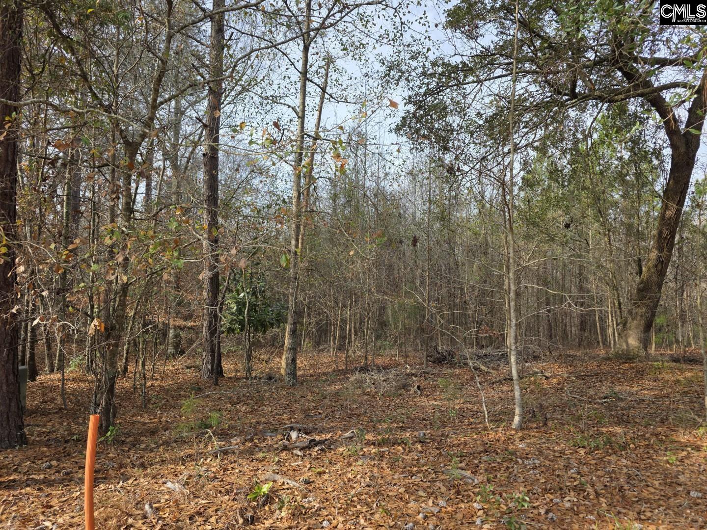 142 Orange Parish Street Orangeburg, SC 29118