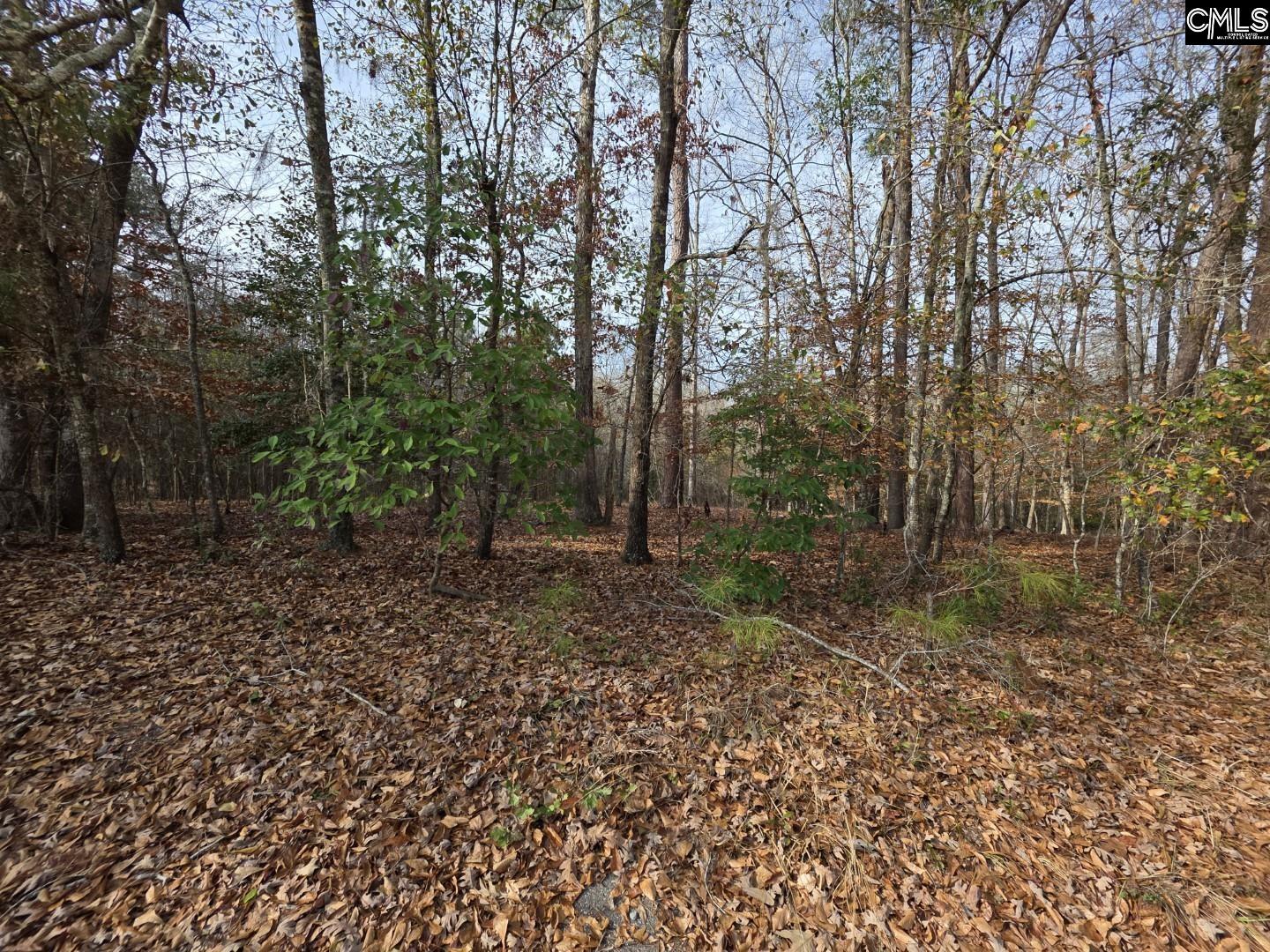 142 Orange Parish Street Orangeburg, SC 29118