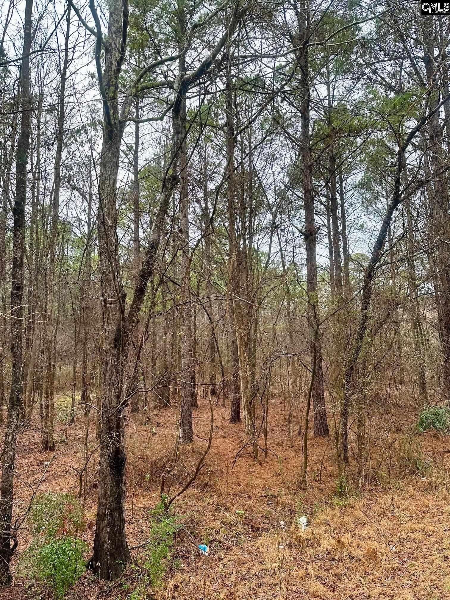 1176 Great Falls Highway UNIT #4 Chester, SC 29706