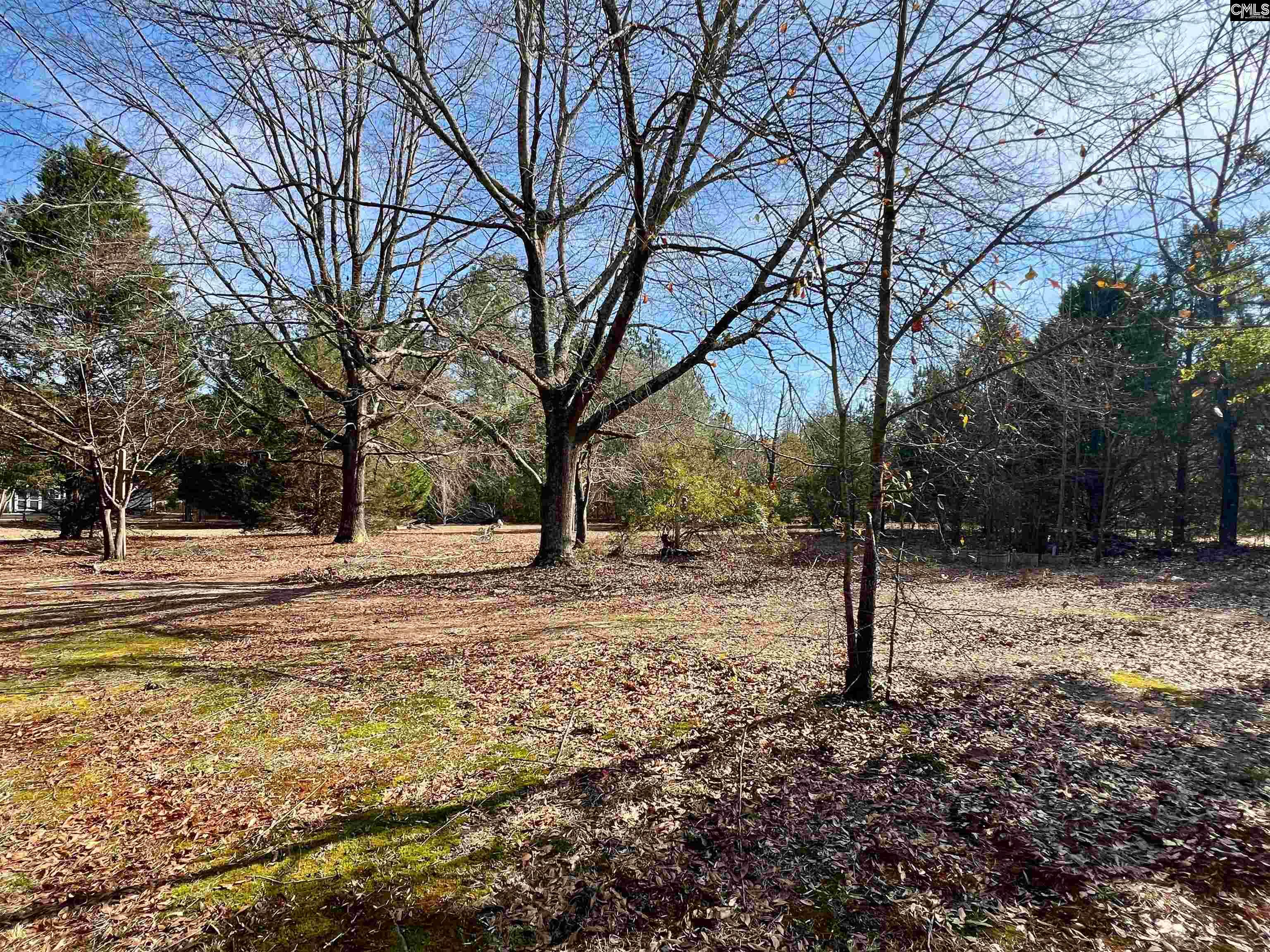 241 Megill Drive Pelion, SC 29123
