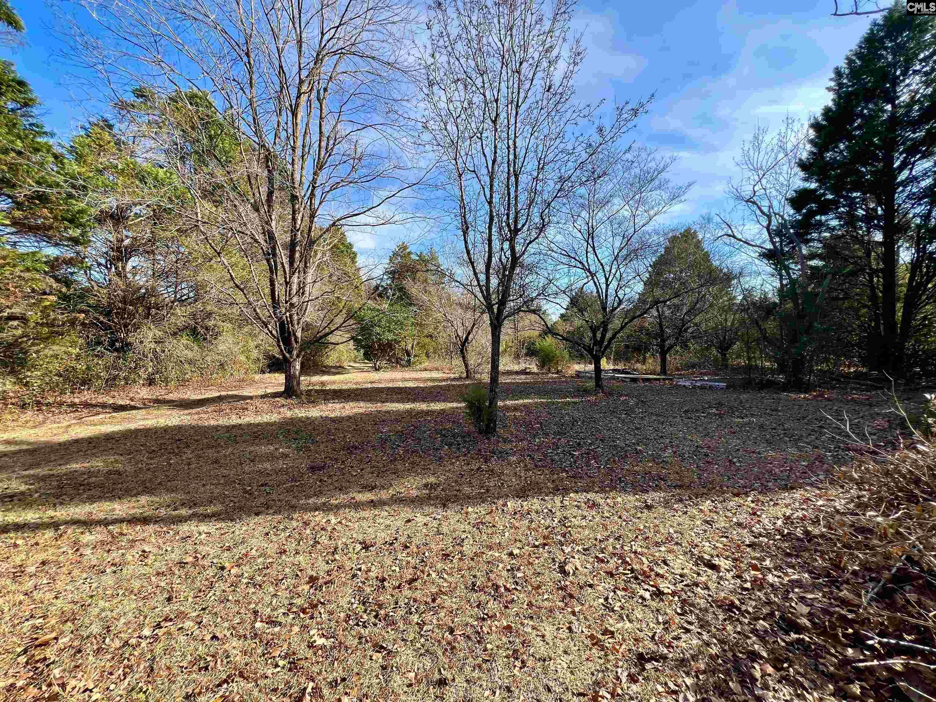241 Megill Drive Pelion, SC 29123