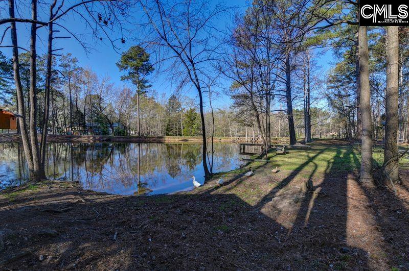 162 Baskin Hills Road Lexington, SC 29072